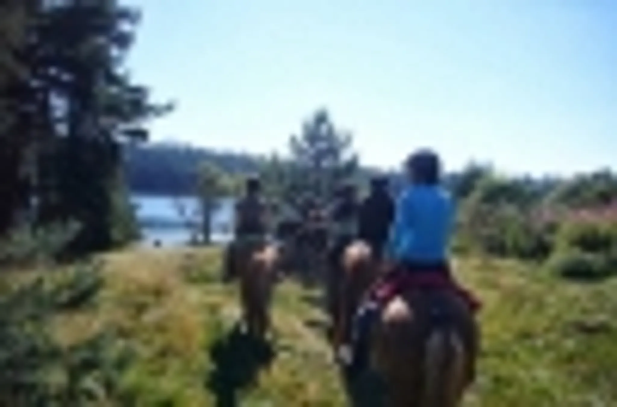 Les Islandais De La Rodde