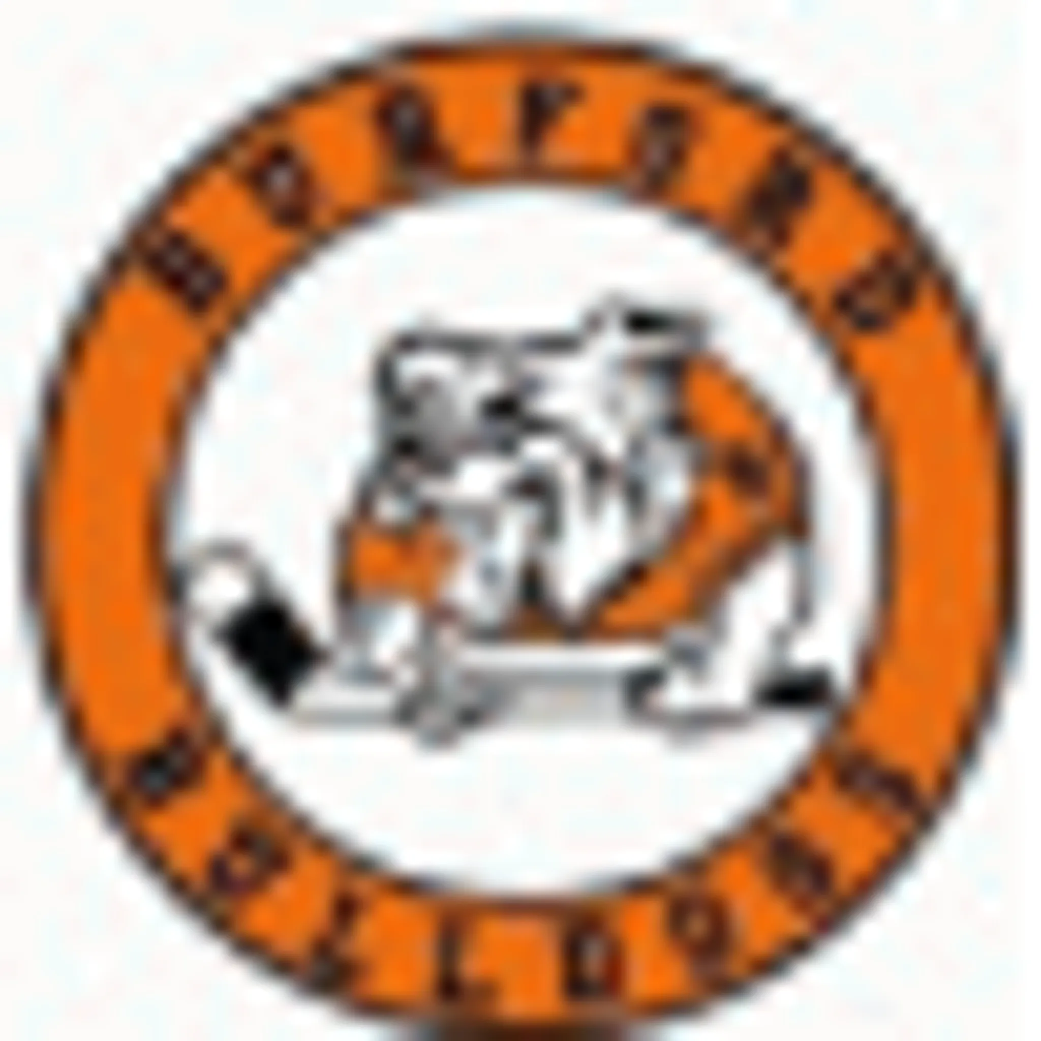 Orillia Terriers Jr. C.