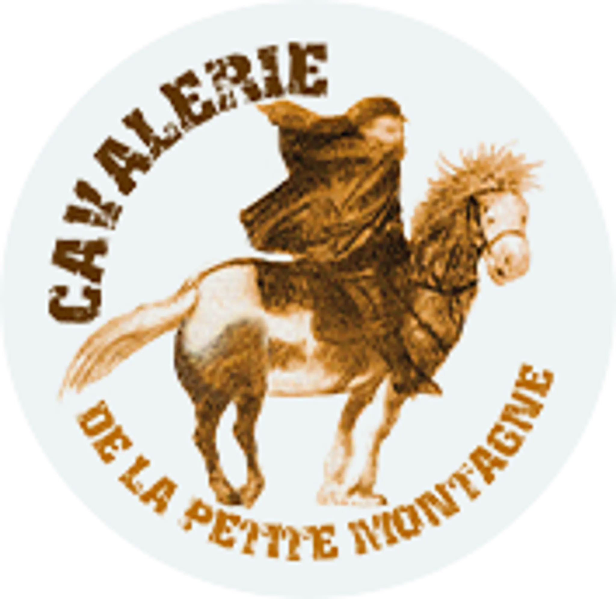 Stage d'équitation T.R.E.C.