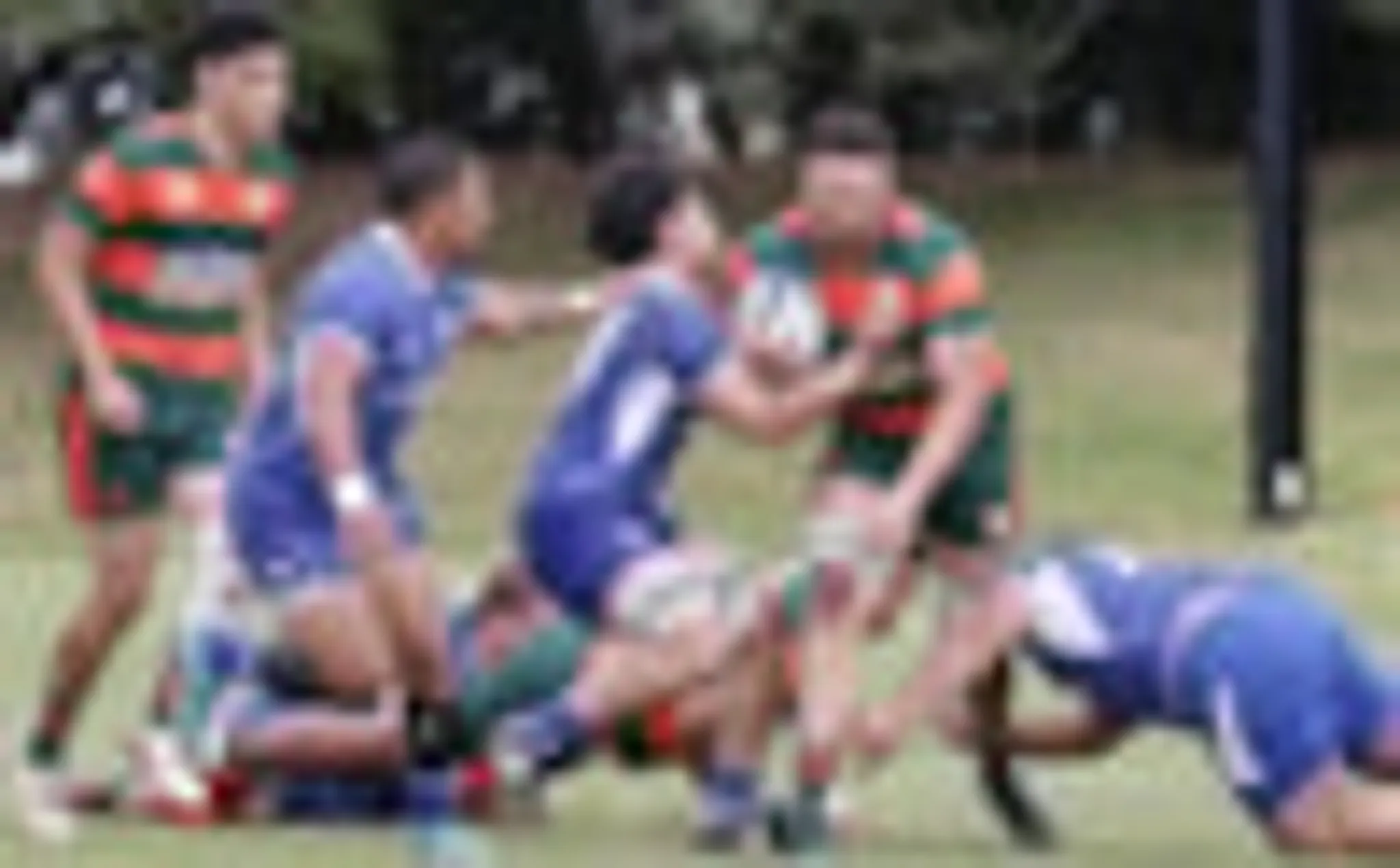 Junior Rugby