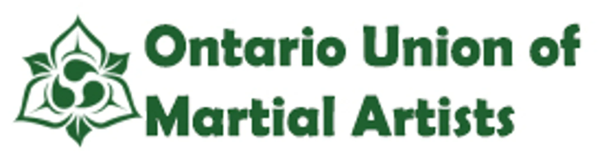 Snow Tiger Martial Arts