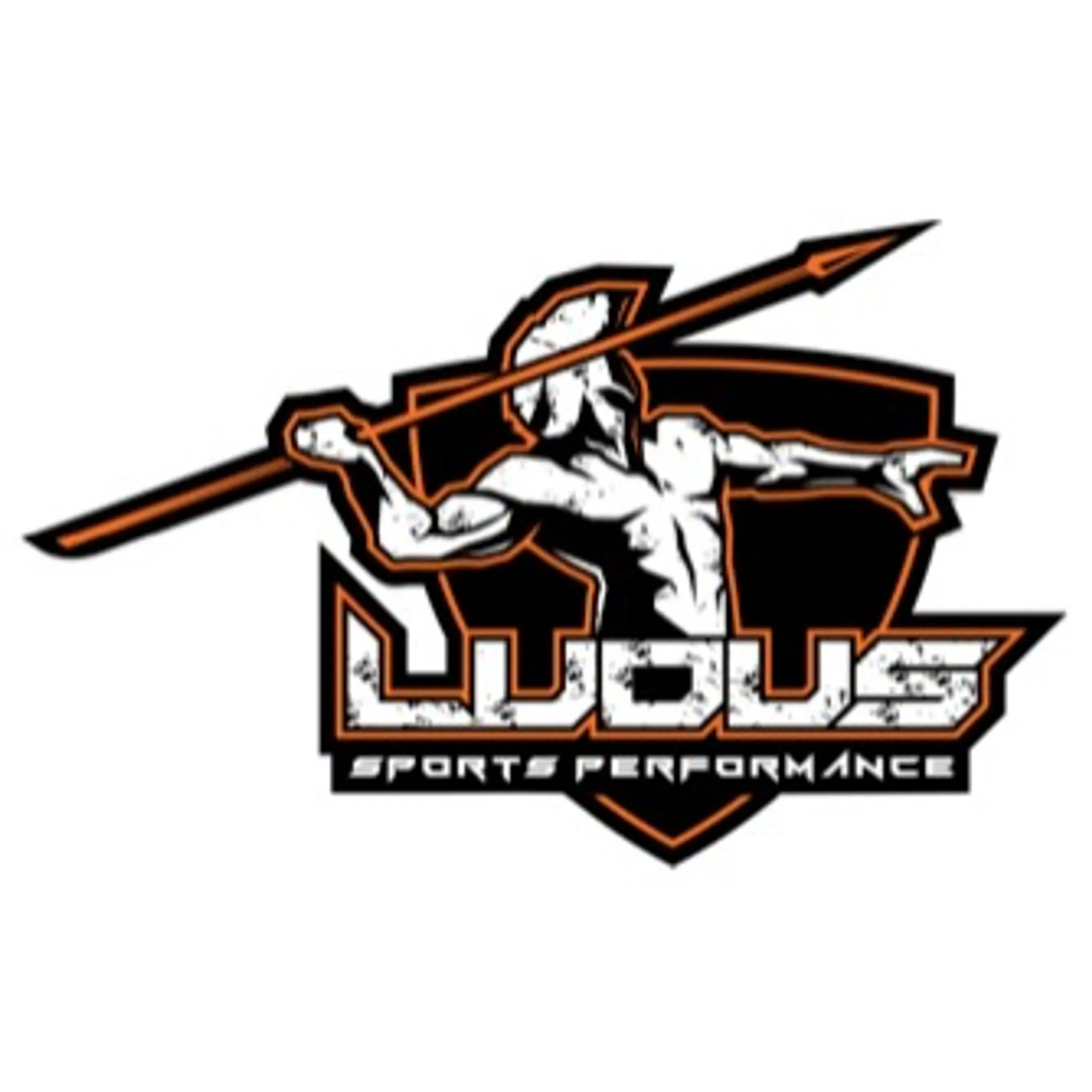 Ludus Sports Performance