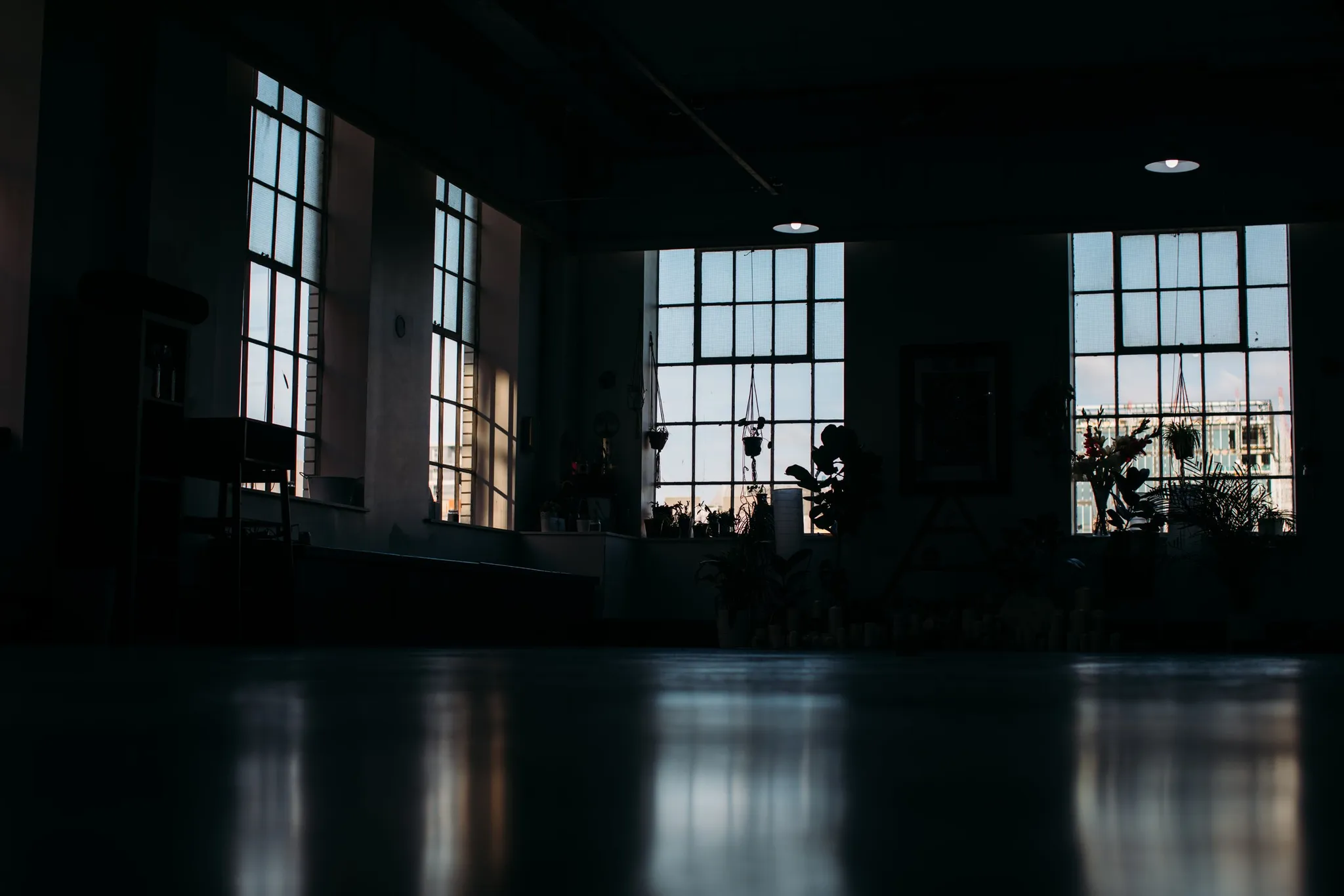 Yoga Wisdom Studies: A Pathway to Deepening your Relationship with Yoga