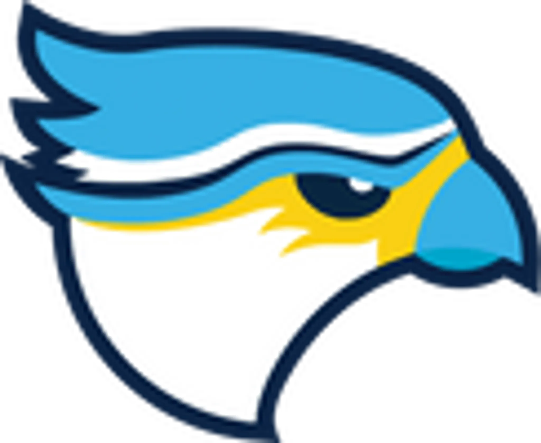 Cardiff Merlins Baseball Club