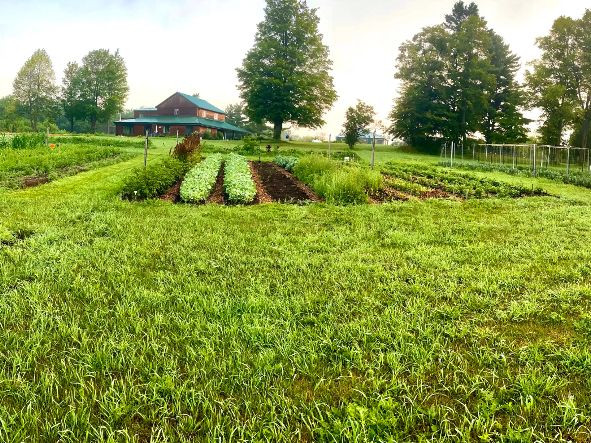 Elements Fitness and Wellness