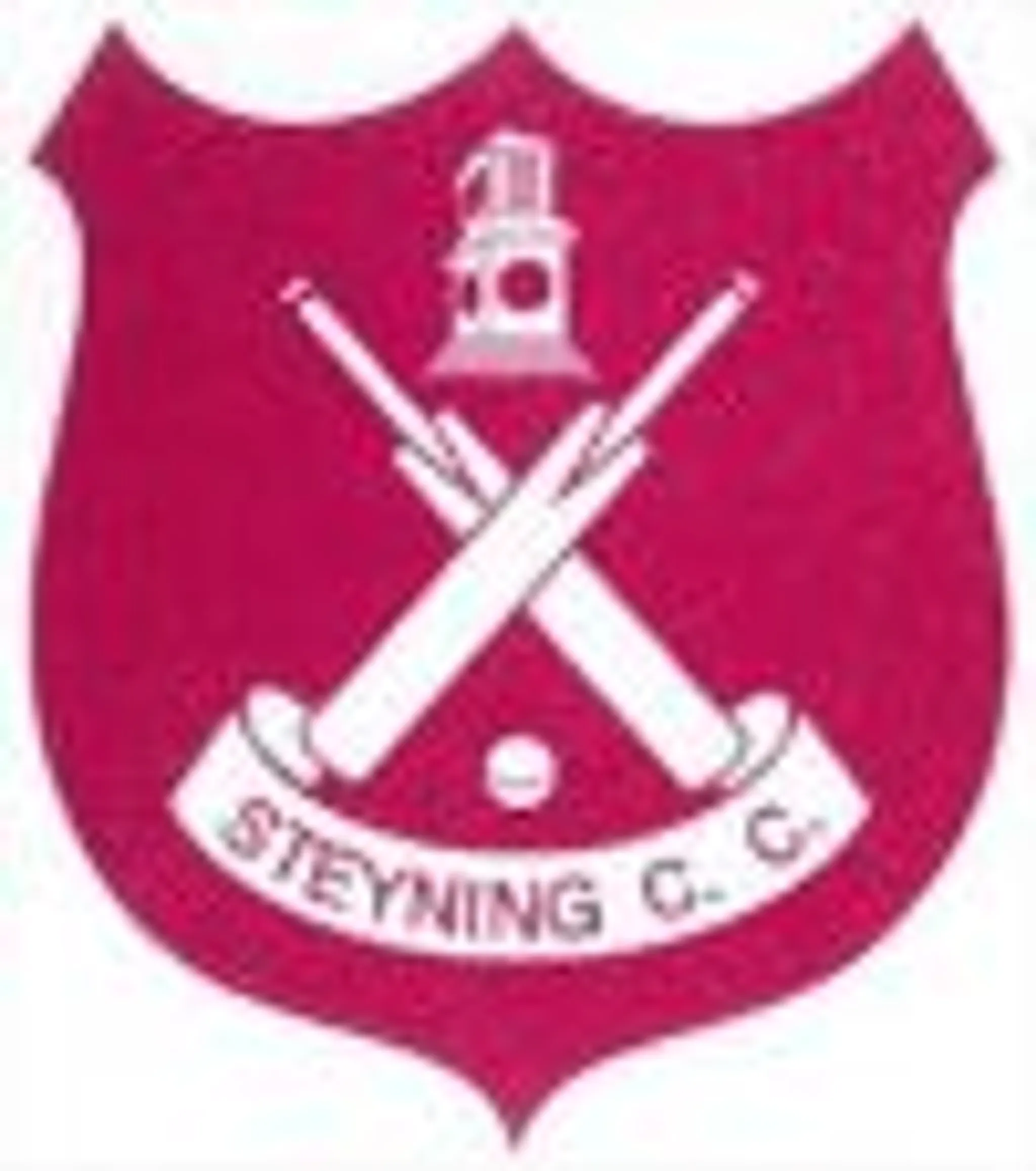 Steyning Cricket Club