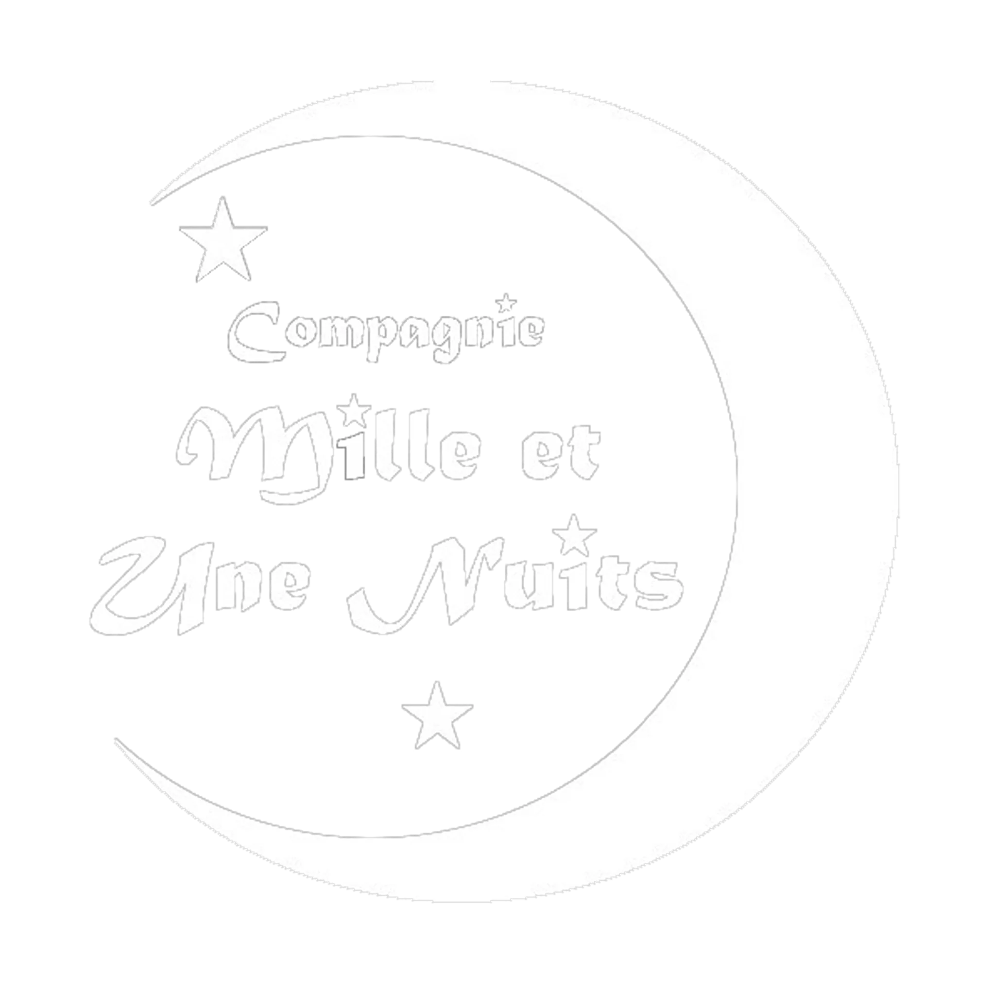 1001 Nuits Cours, Internship And Shows Dance Orientale