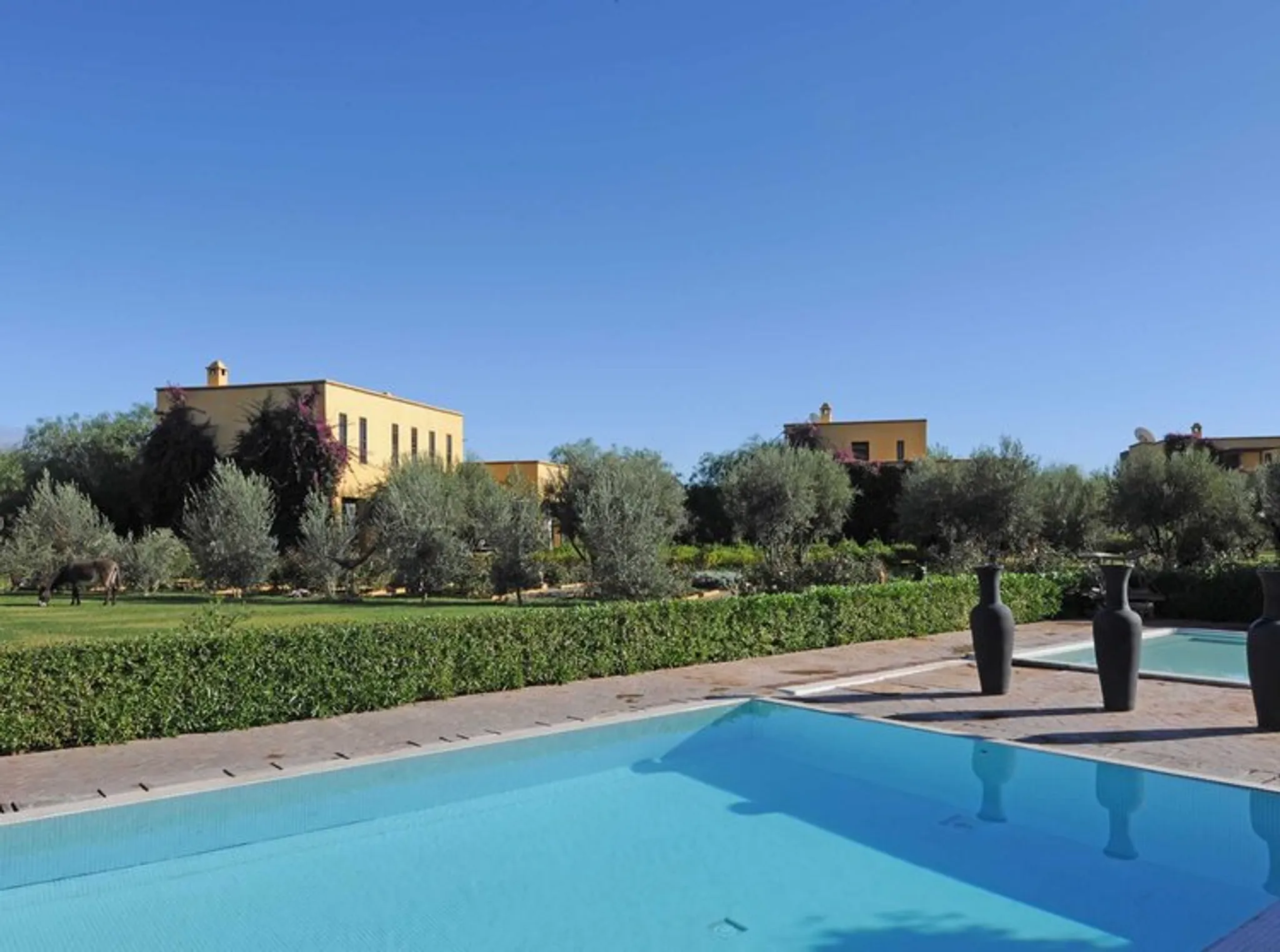 Yoga Retreat at Finca Avedin