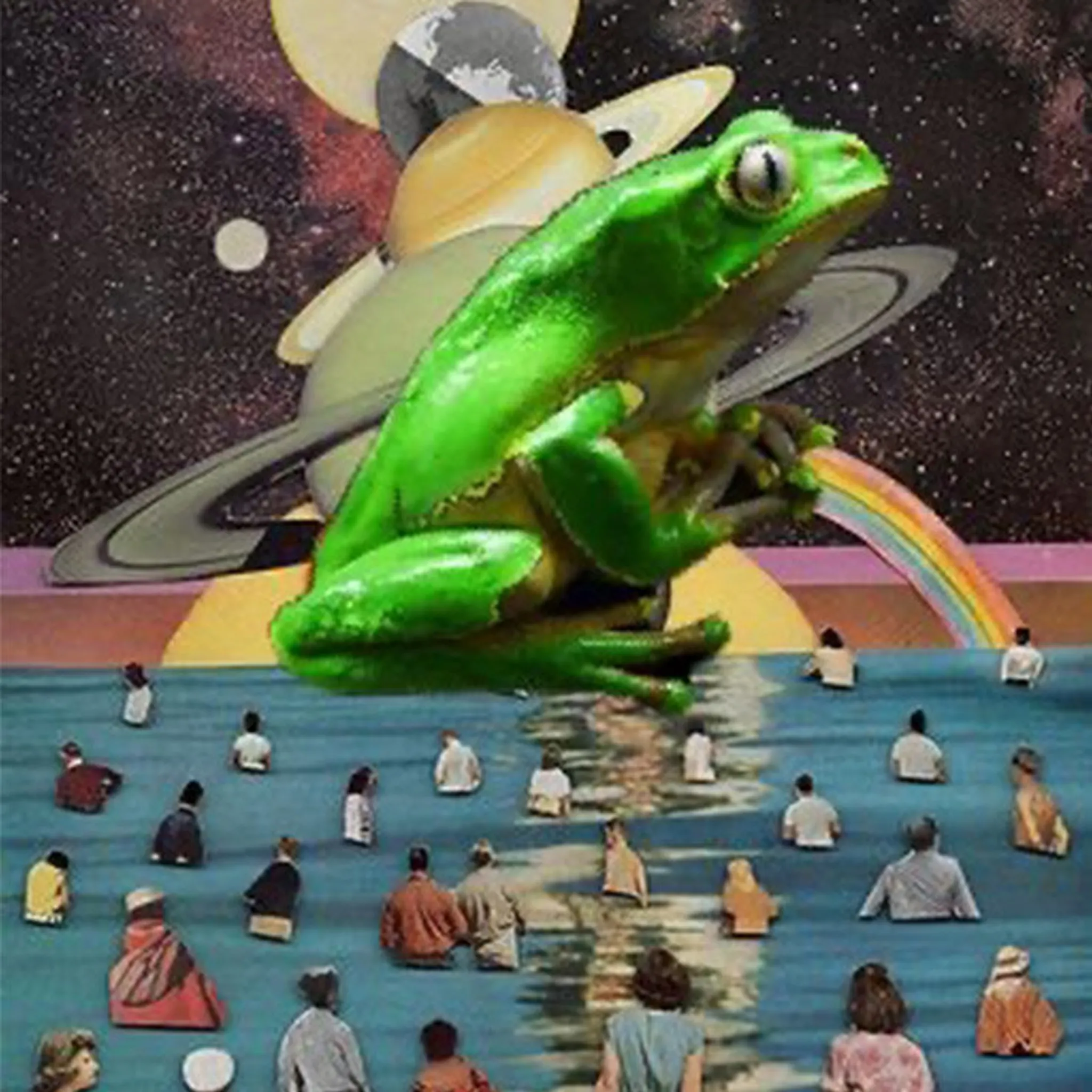 Group Kambo Ceremony