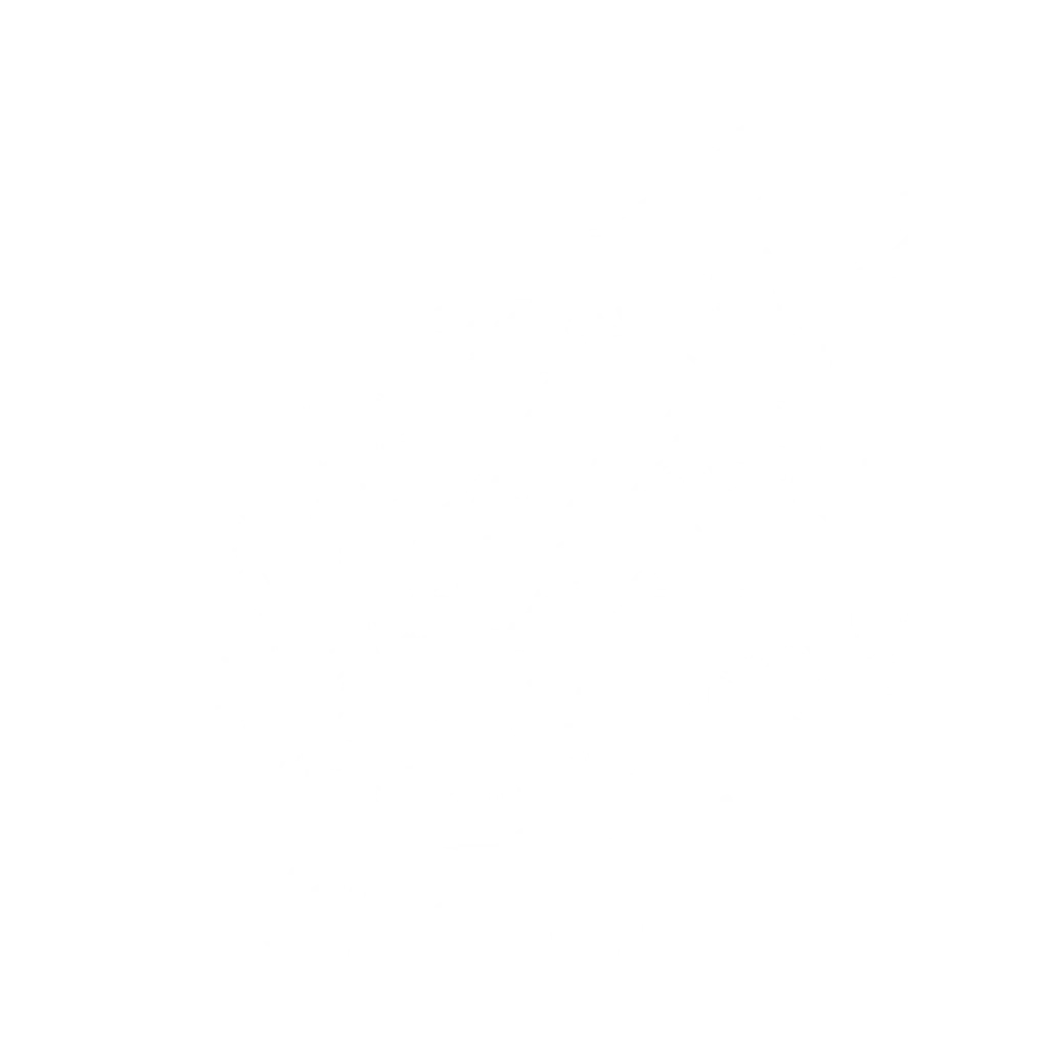 Silver Wolf Kickboxing