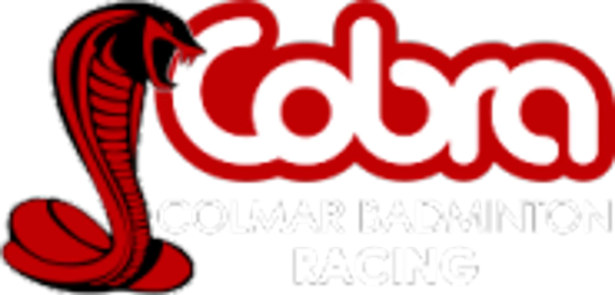 Cobra Badminton Racing