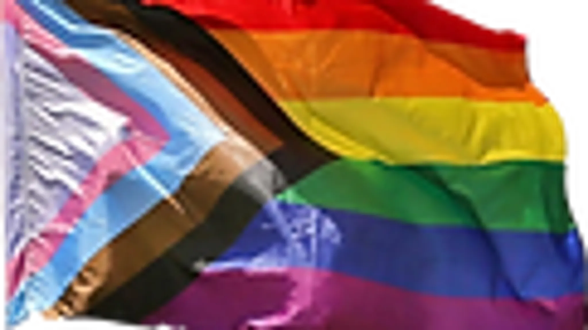 Healthy Living Warrior