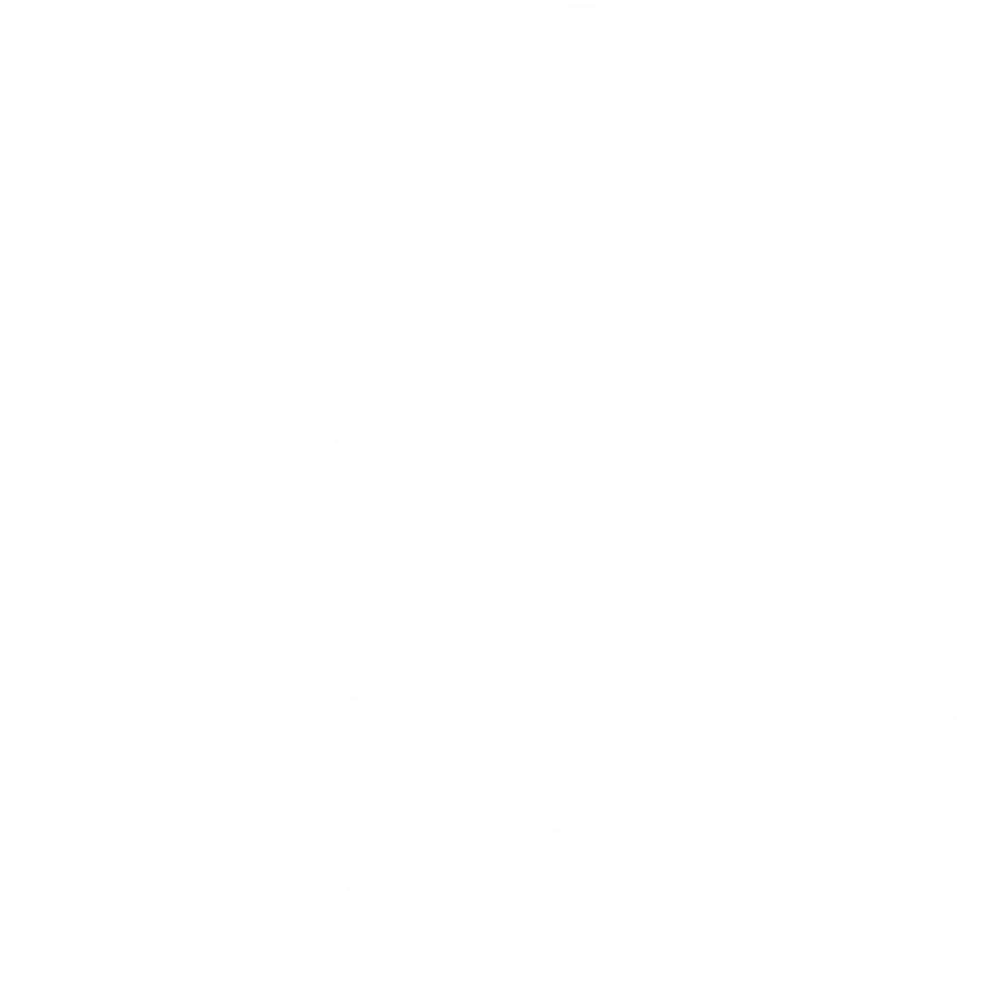 Salmon City Charters