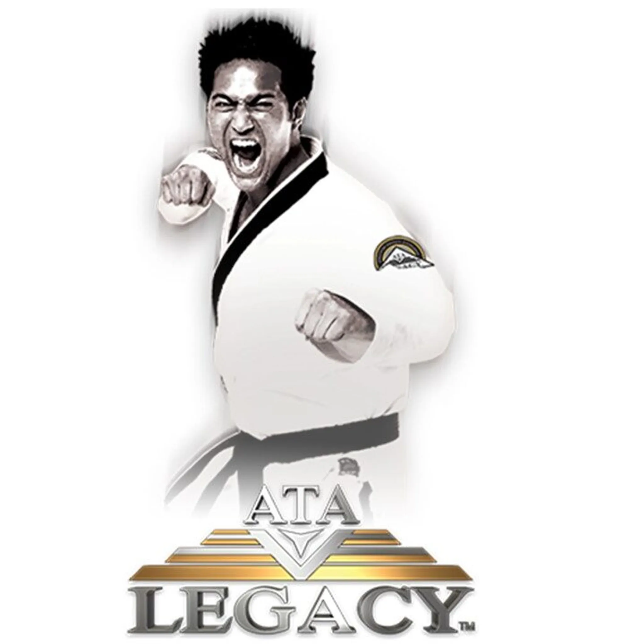 Legacy Martial Arts