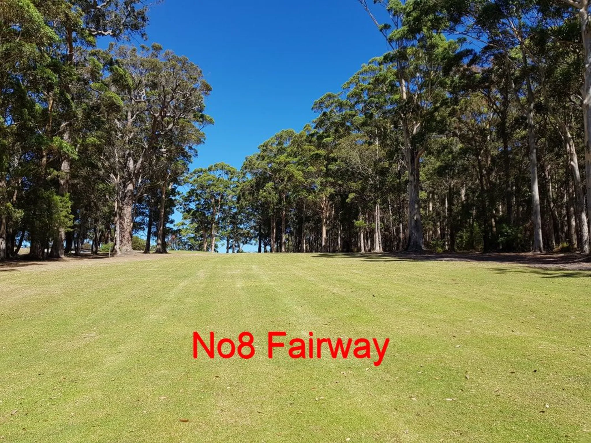 Walpole Country Club Bowls
