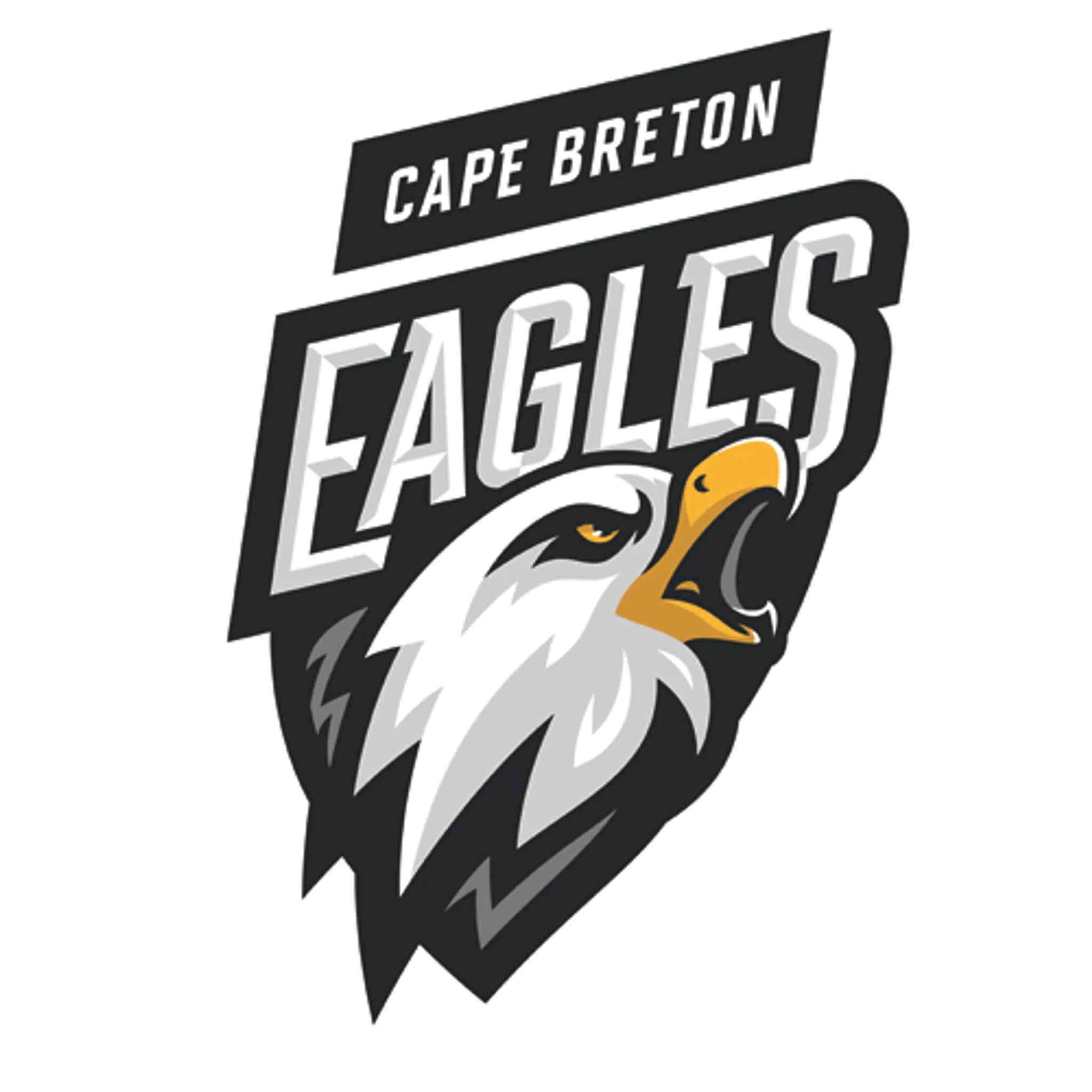 Kamloops Blazers Hockey School 2024