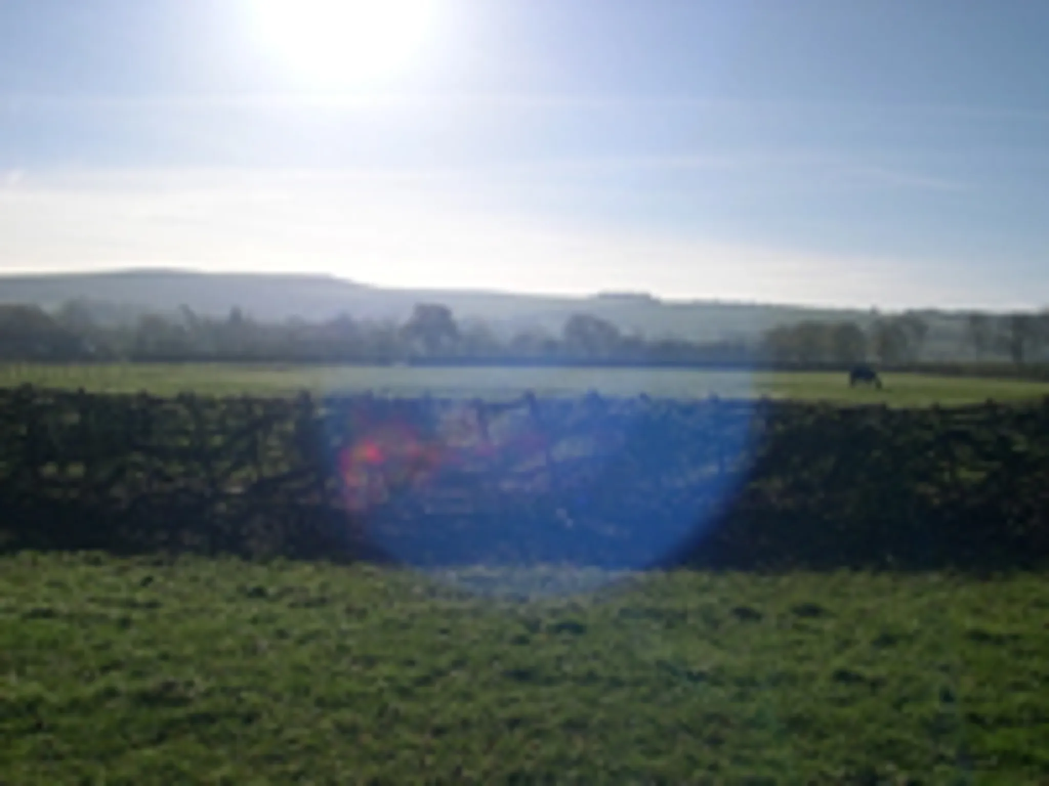 Woolstone Farm Livery