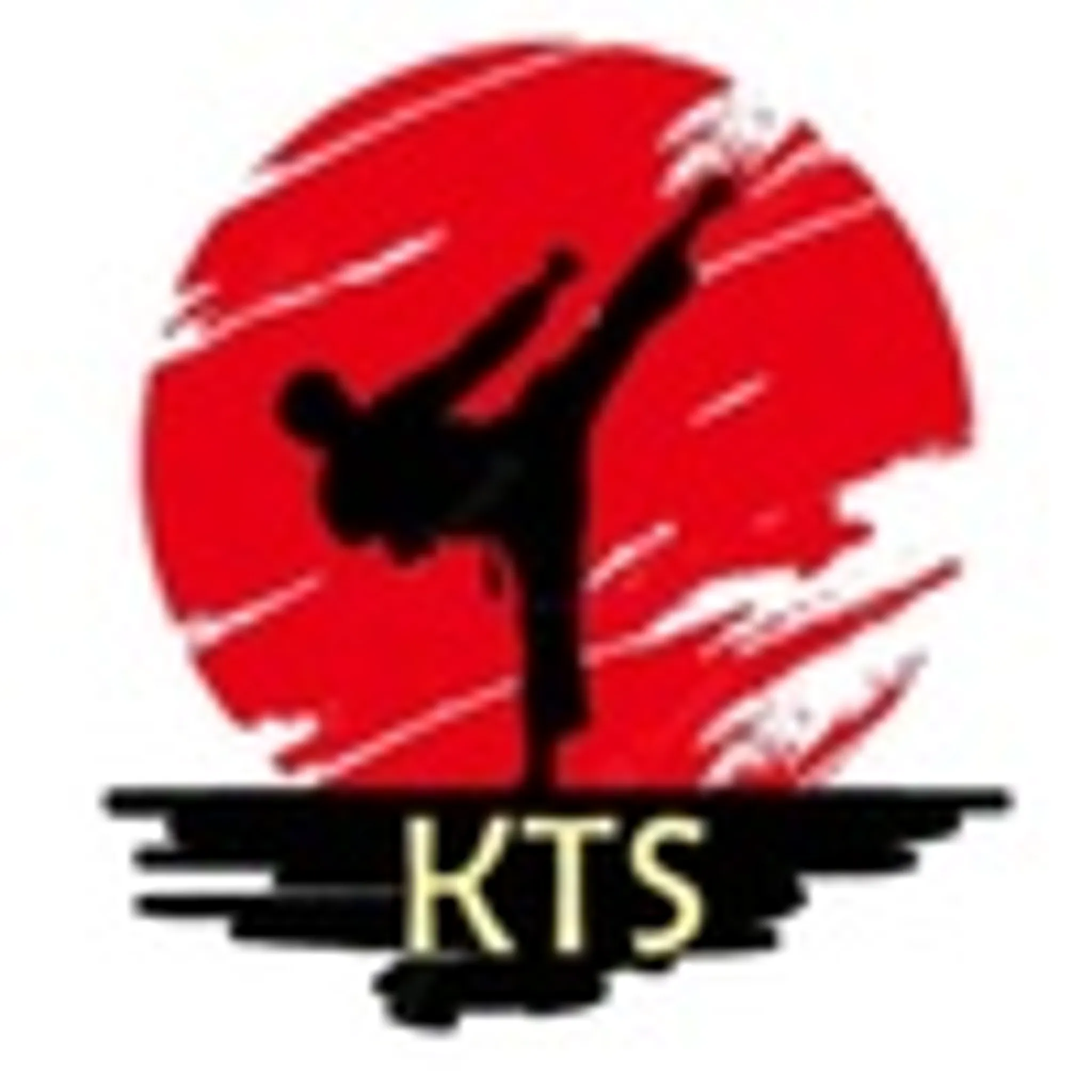 KTS Karate