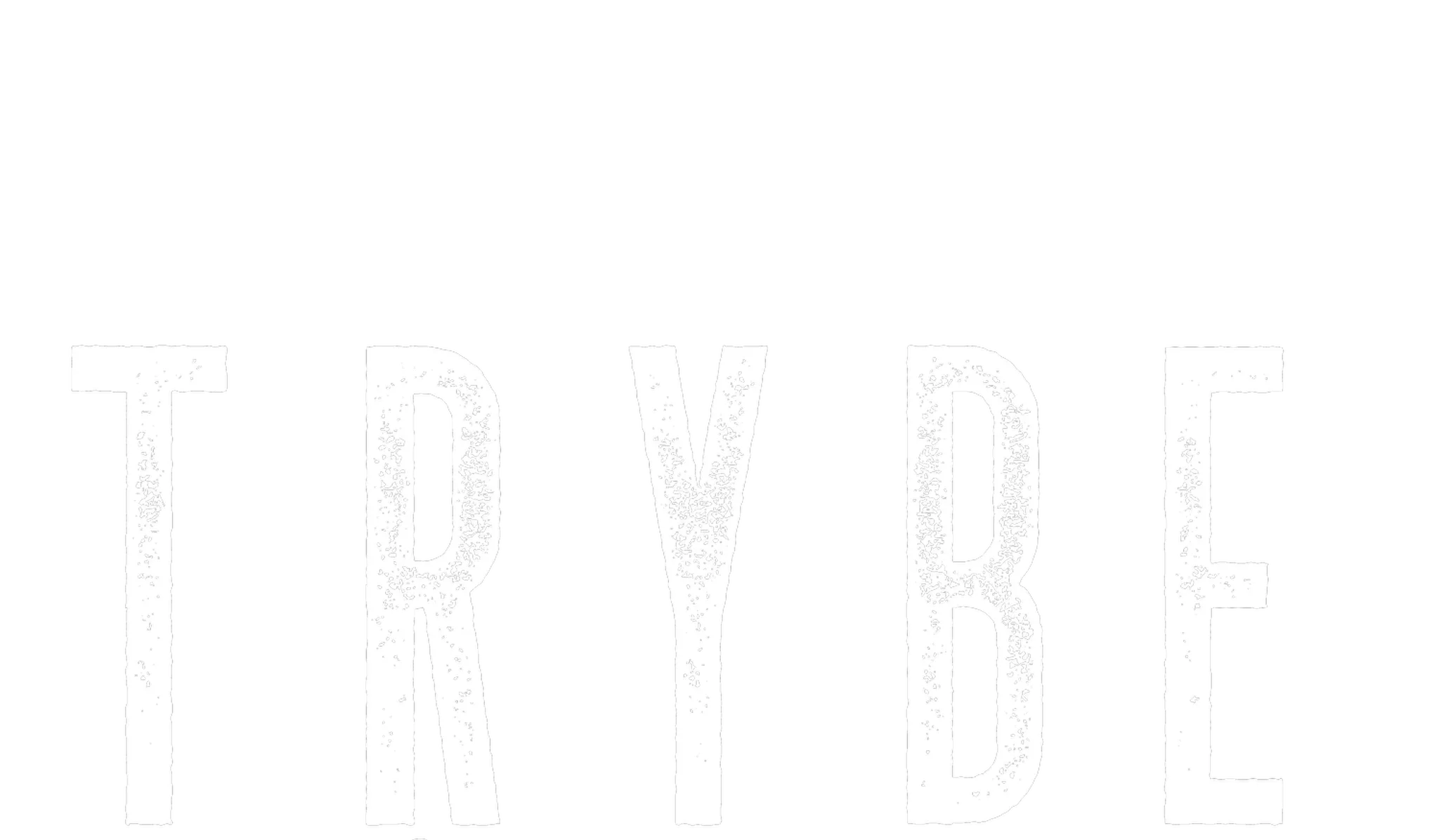 Trybe Wellness Studio