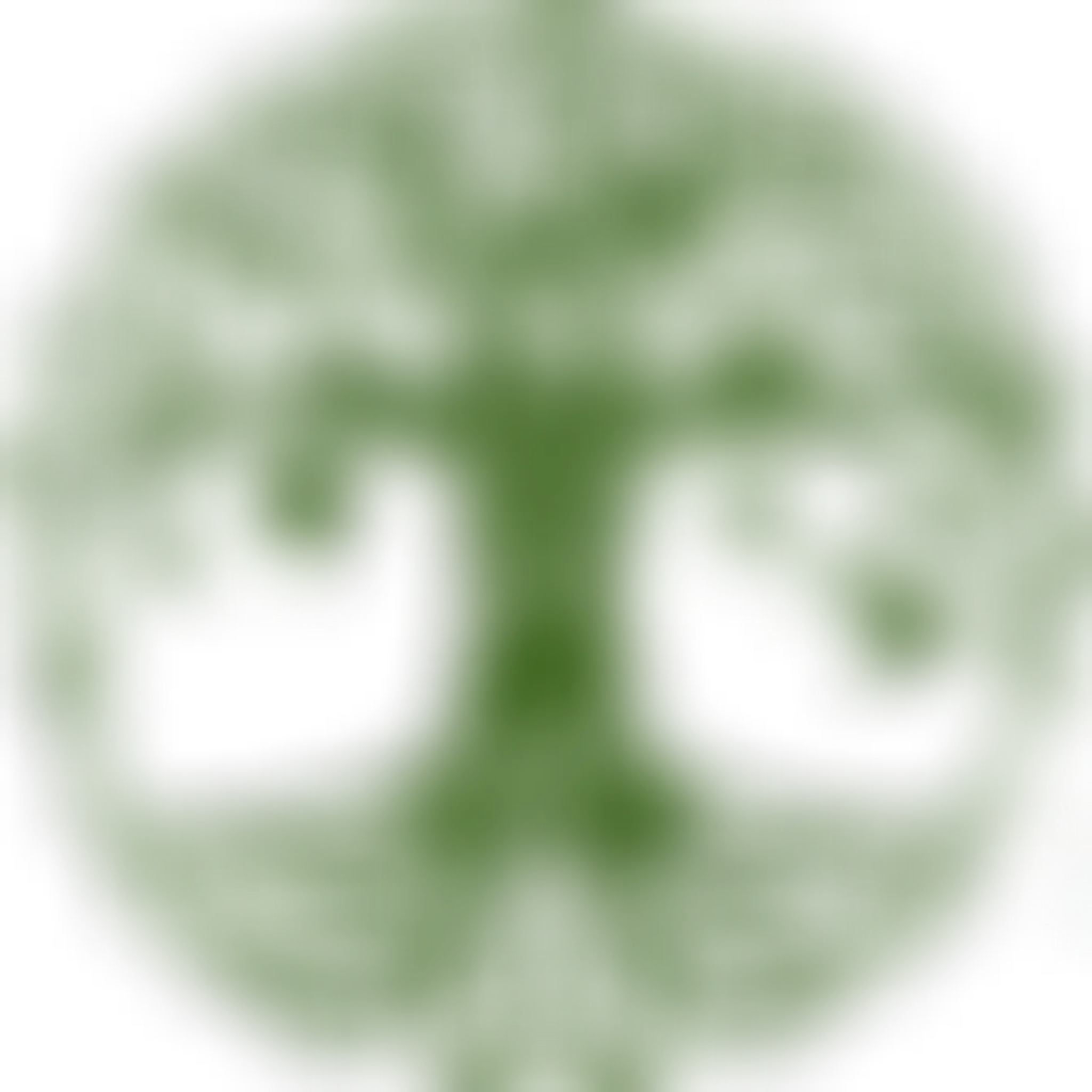 Wellness Yoga Studio