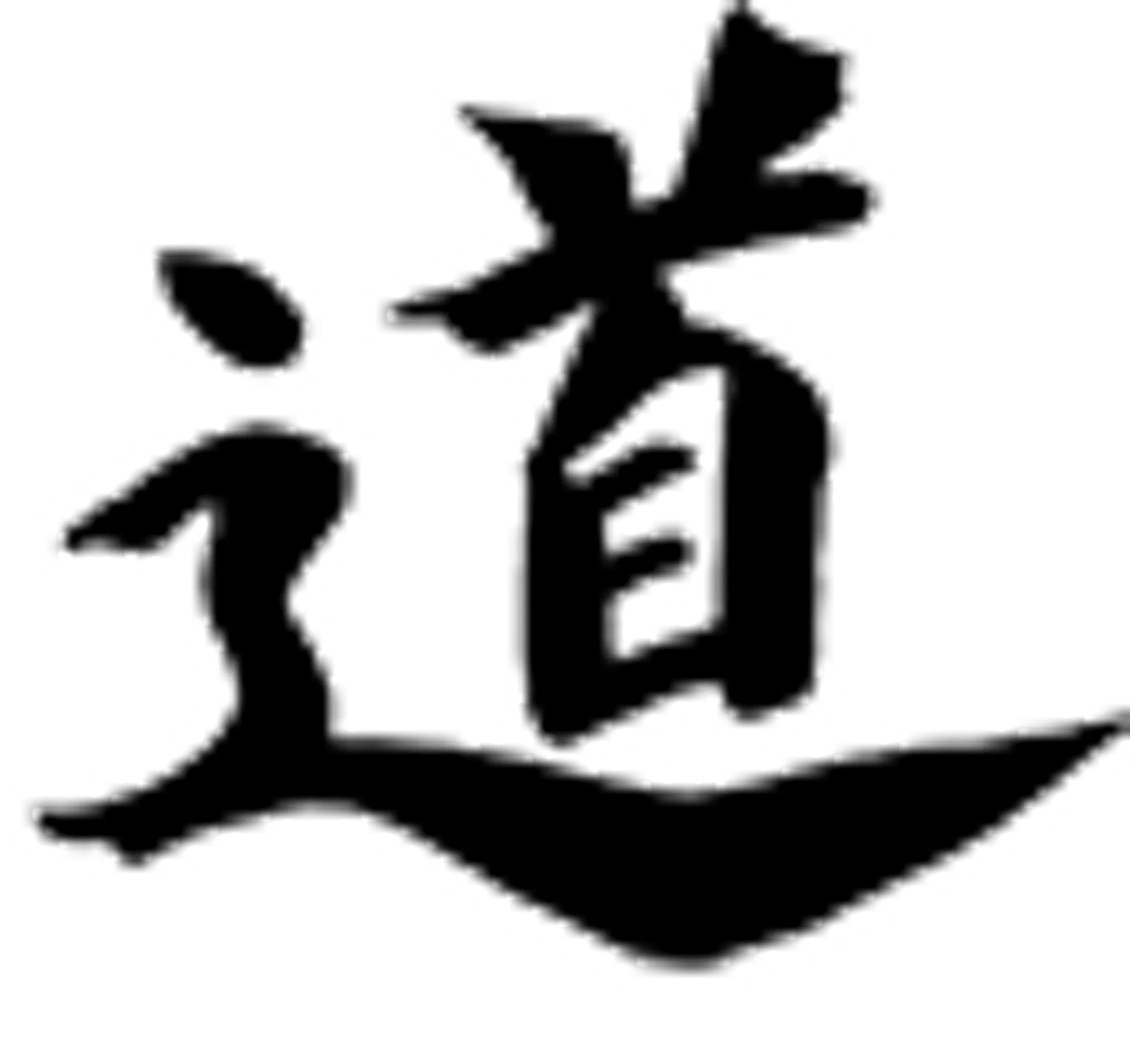 Institute Aikido Akj