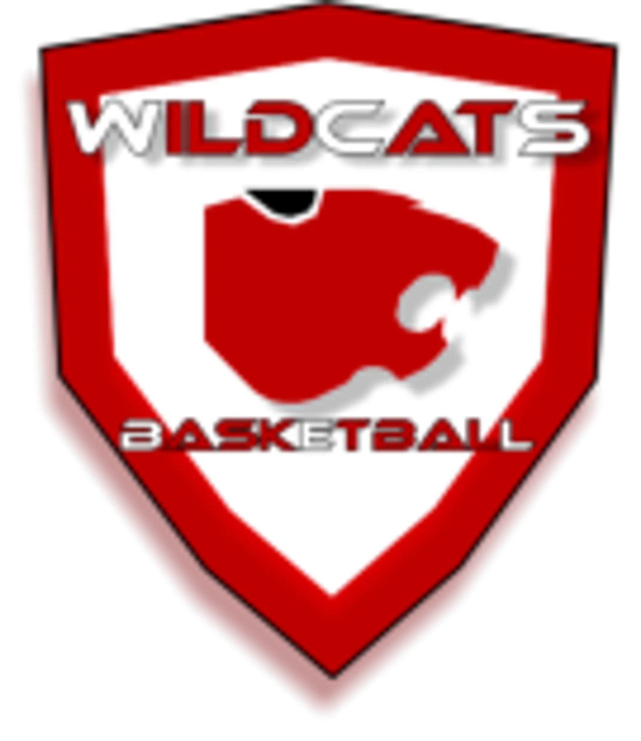 Sankey Wildcats Basketball Club