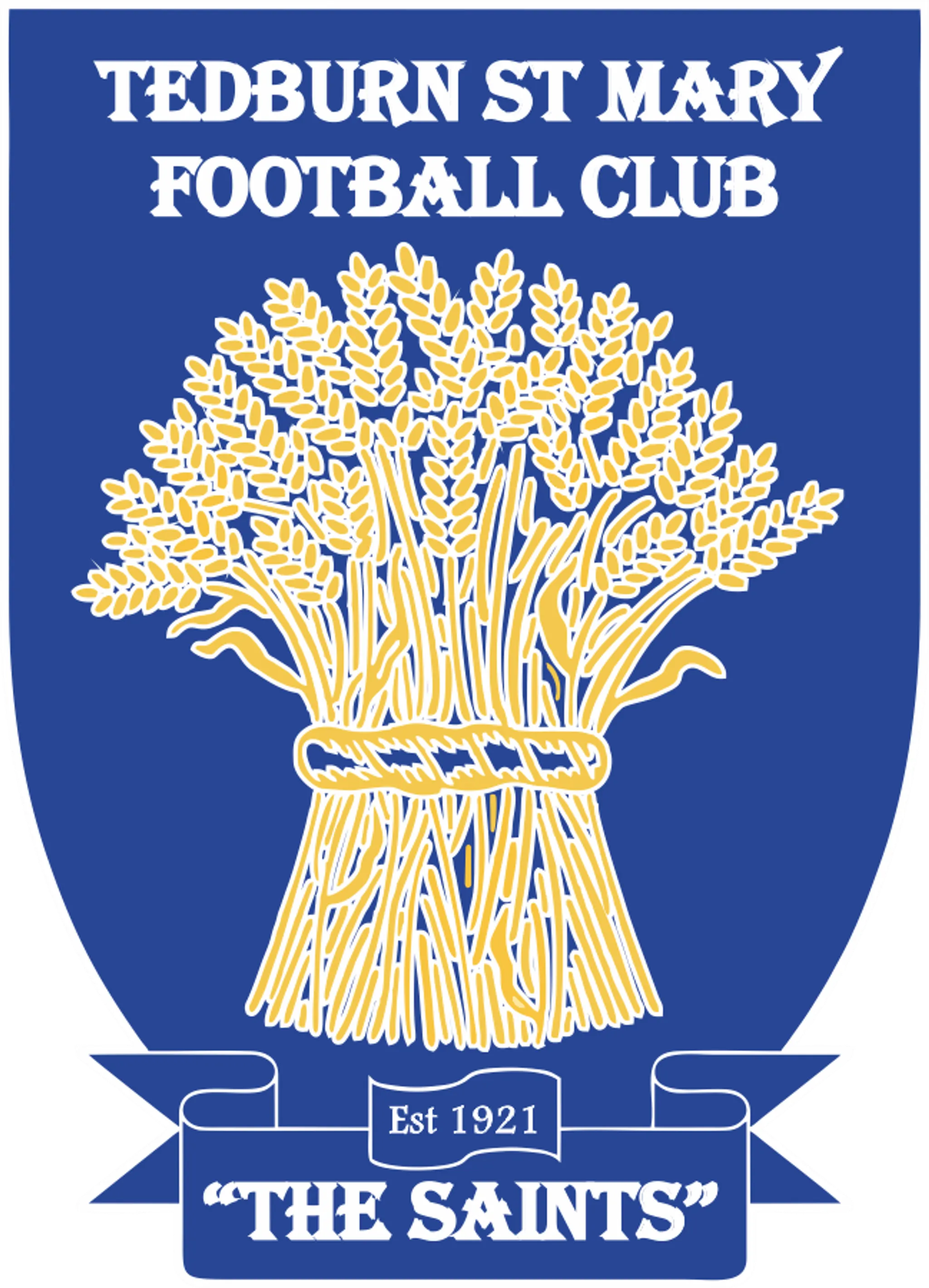 Tedburn St Mary Football Club