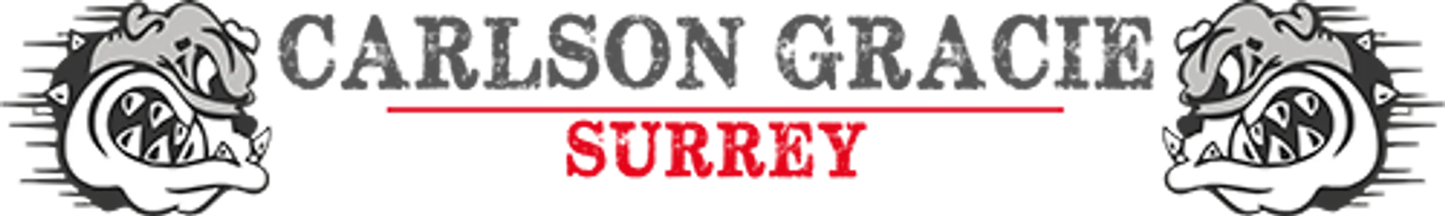 Surrey Martial Arts Club