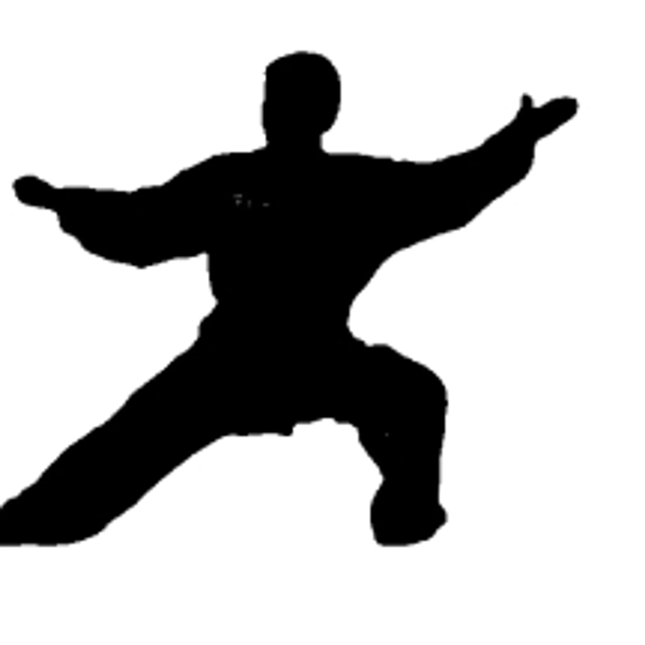 Heights Tai Chi