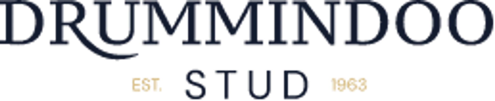 Clew Bay Horseriding