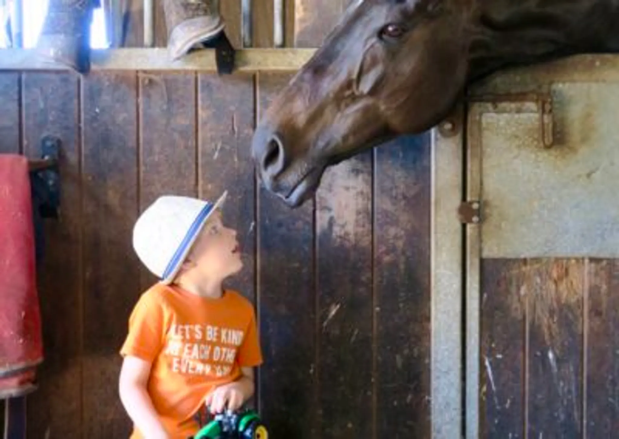 Blackwater Farm Cross Country Course