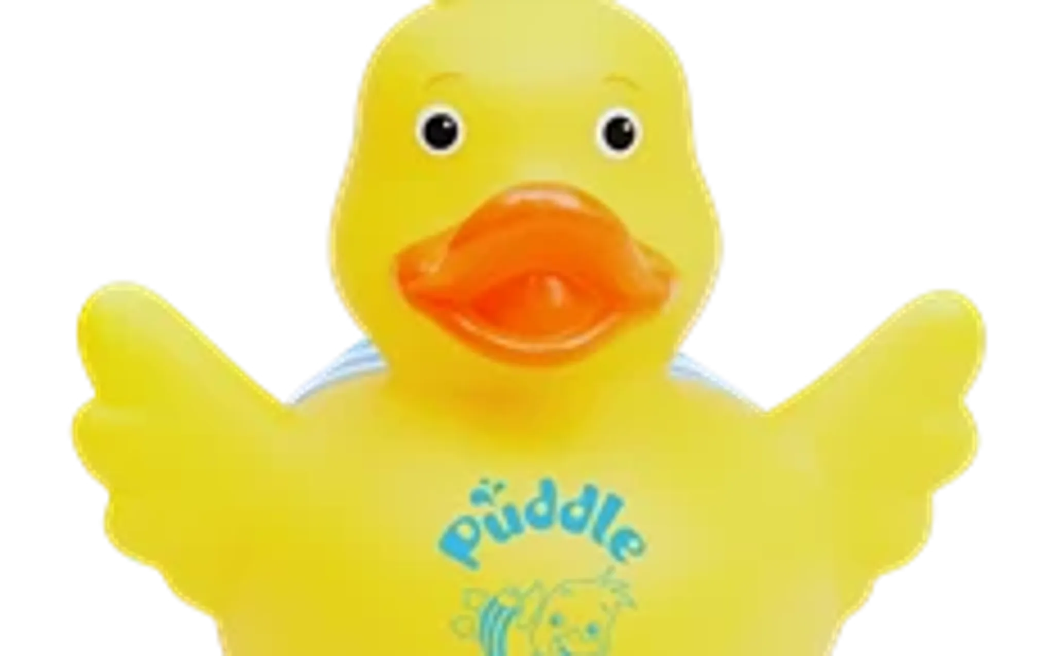 Puddle Ducks Lincoln and surrounding areas