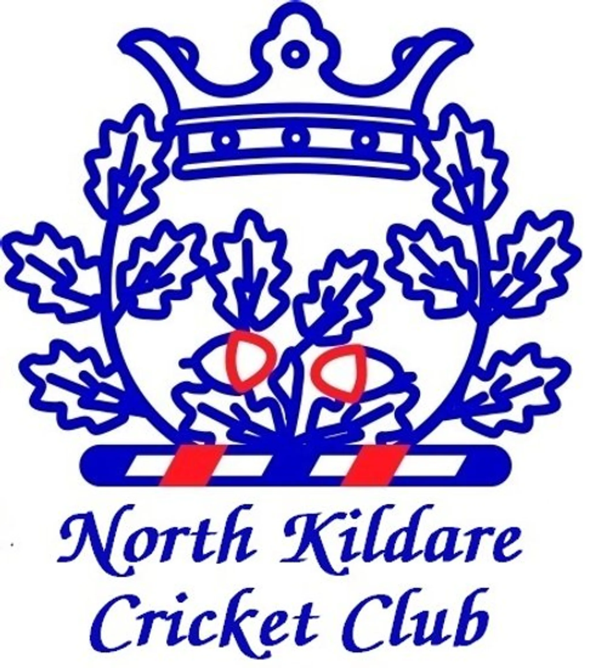 North Kildare cricket club