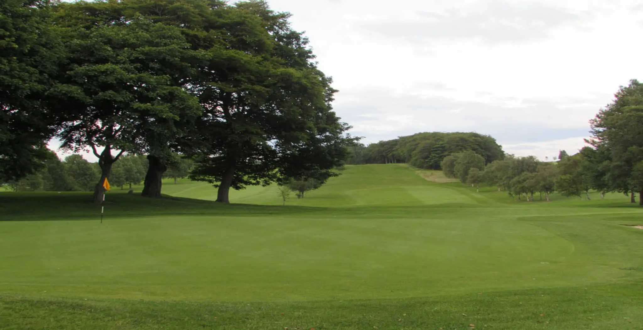 2024 Open Competitions - The Campbell McMillan Trophy - Gents Individual Open