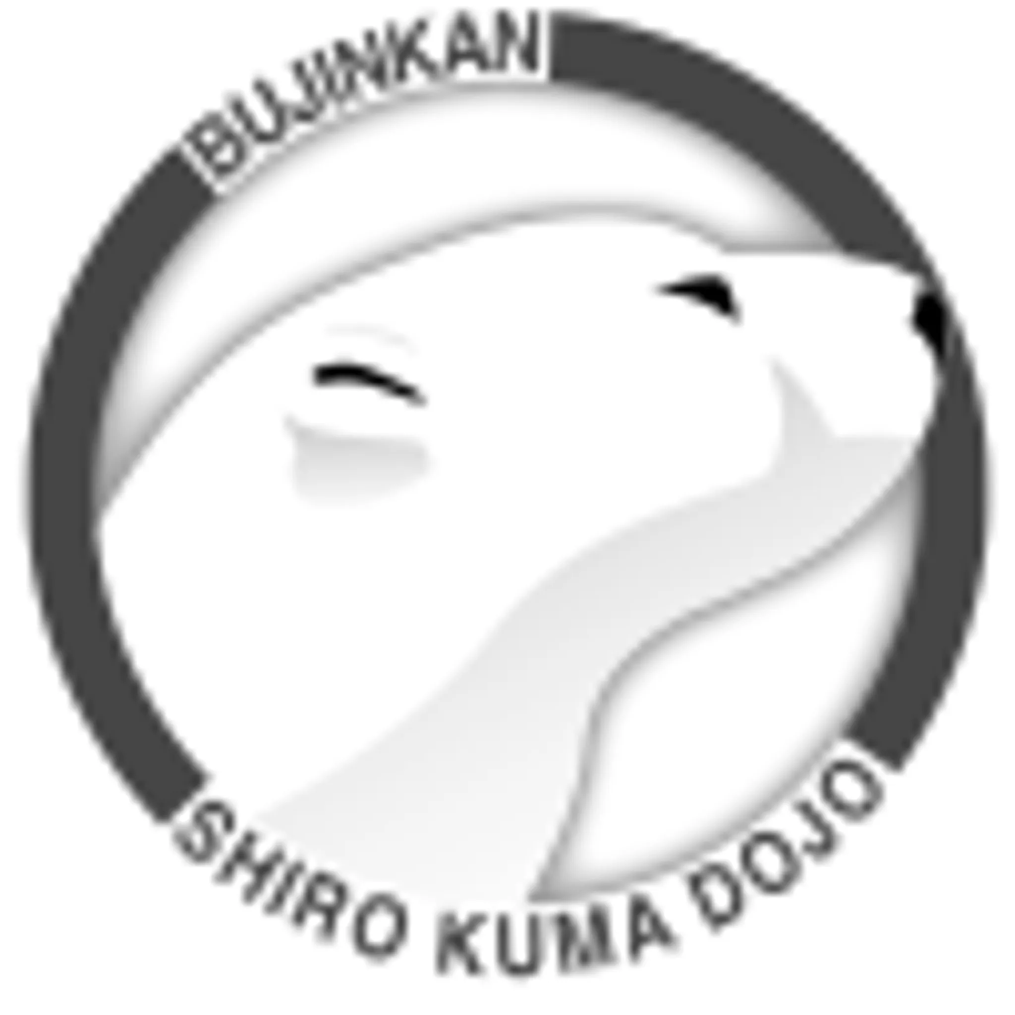 Bujinkan Ninjutsu France Paris Vincennes