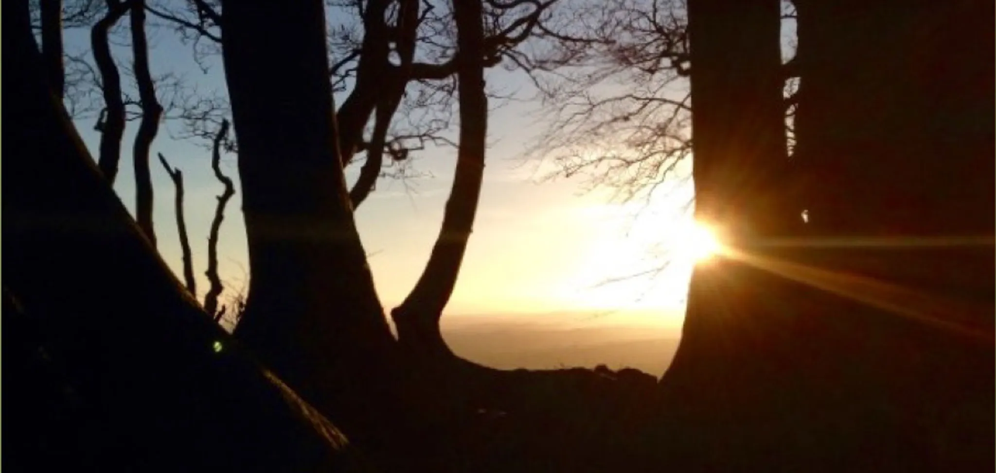 Hestercombe Chi Gung Group