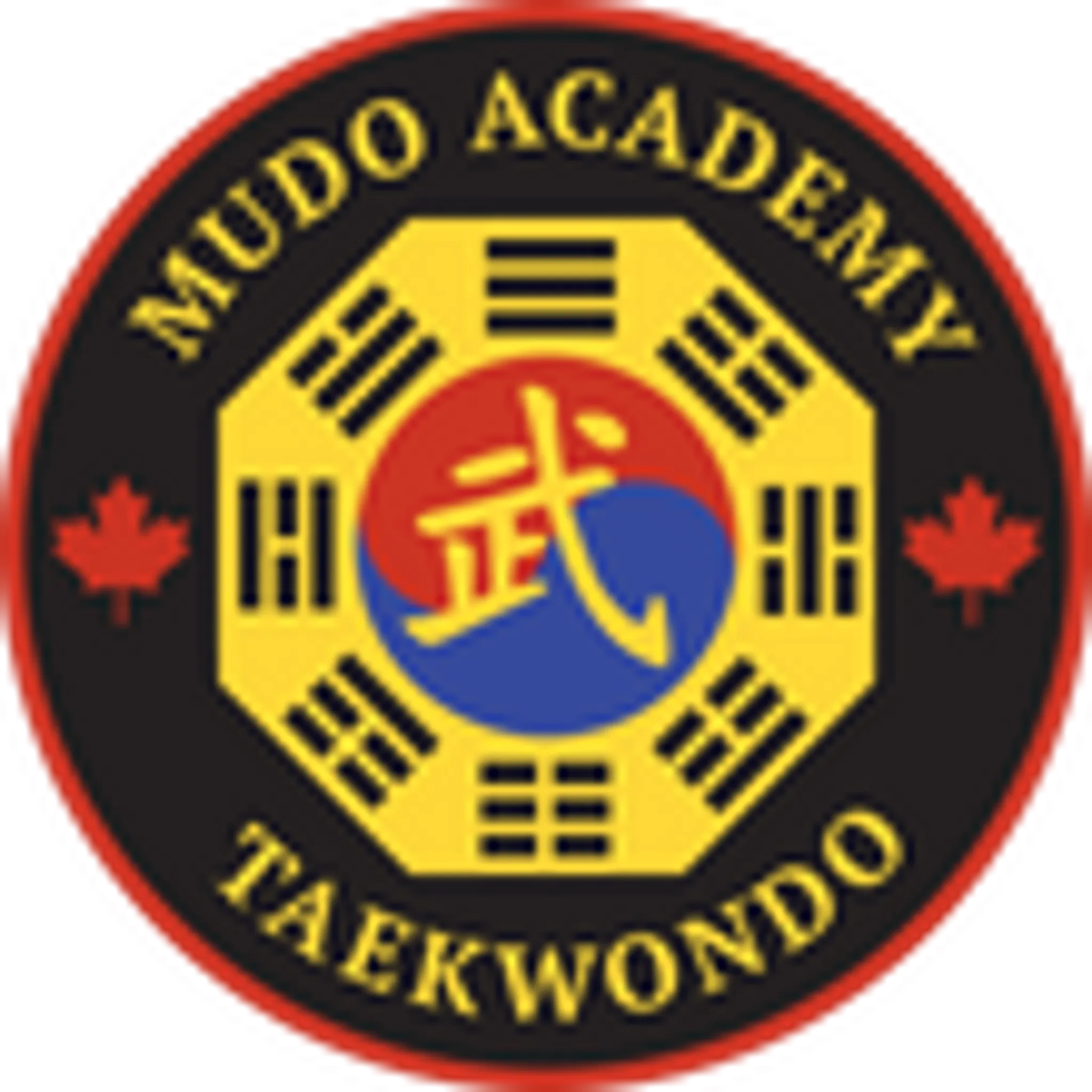 MuDo Academy