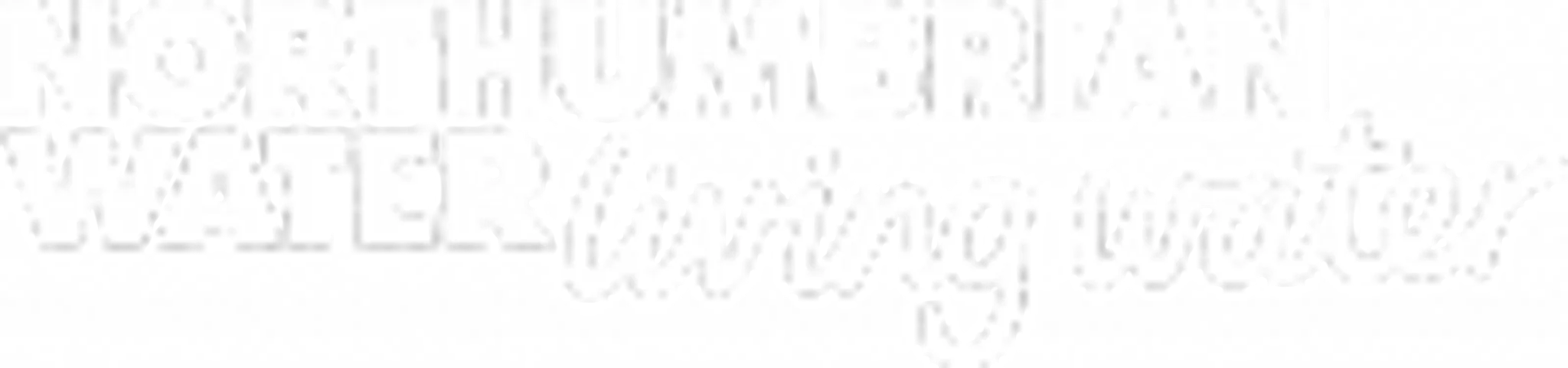 Derwent Waterside Park