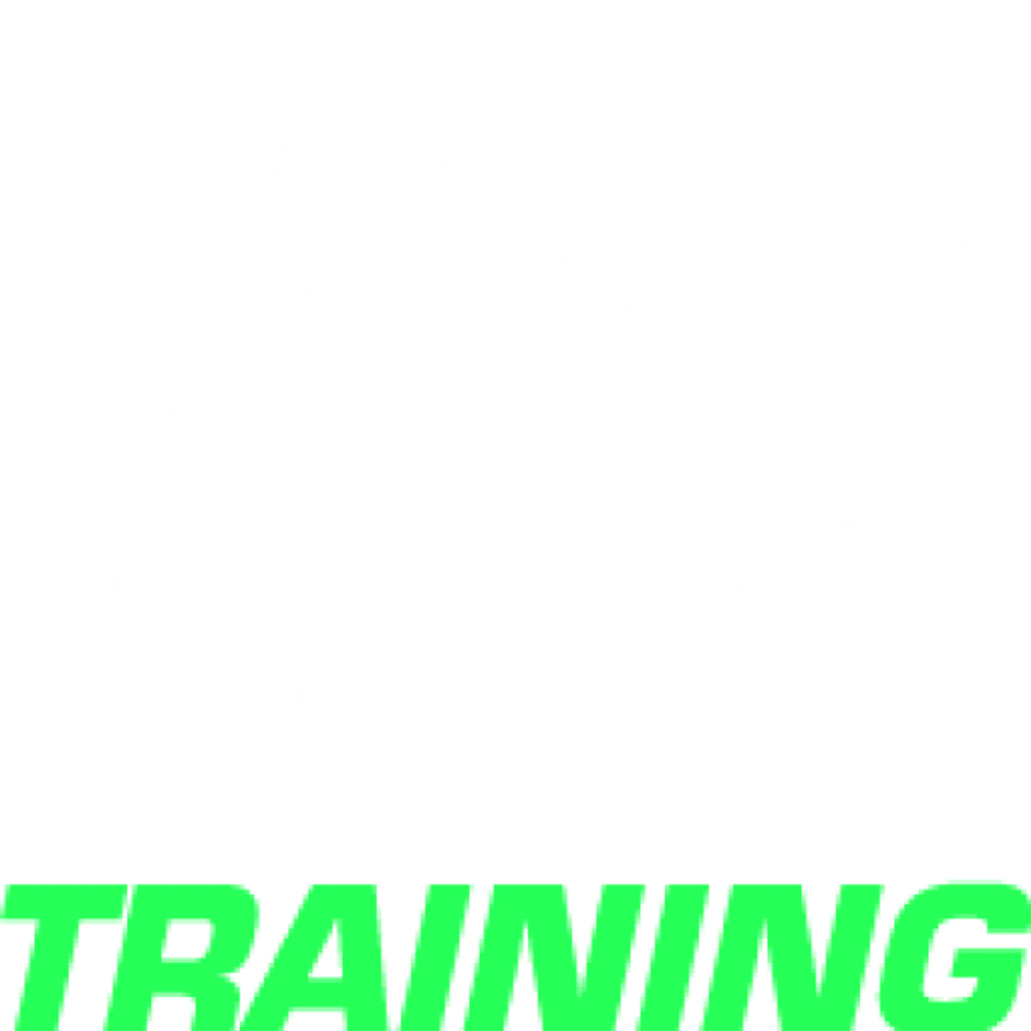 LL-Training