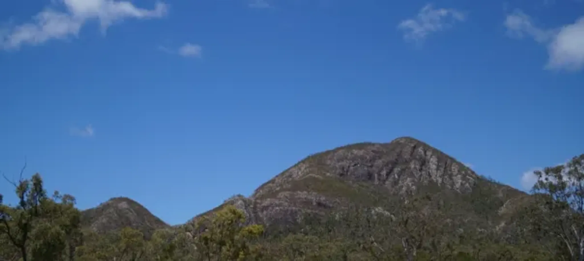 5 Day Colt Starting Clinic