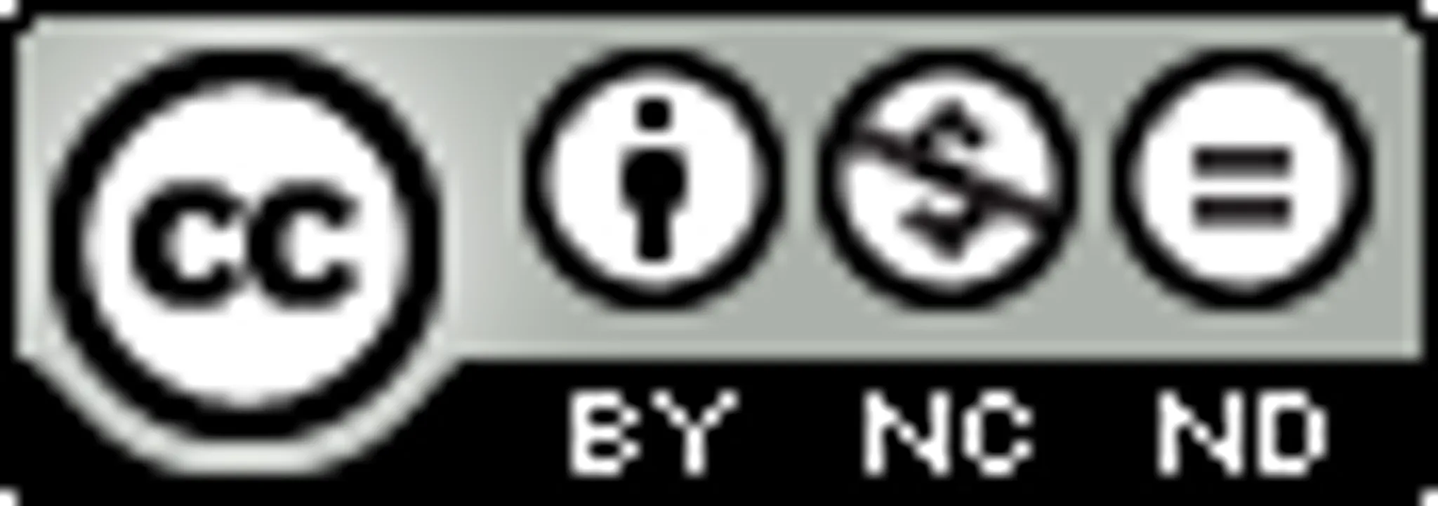 Sri Chinmoy Marathon Team