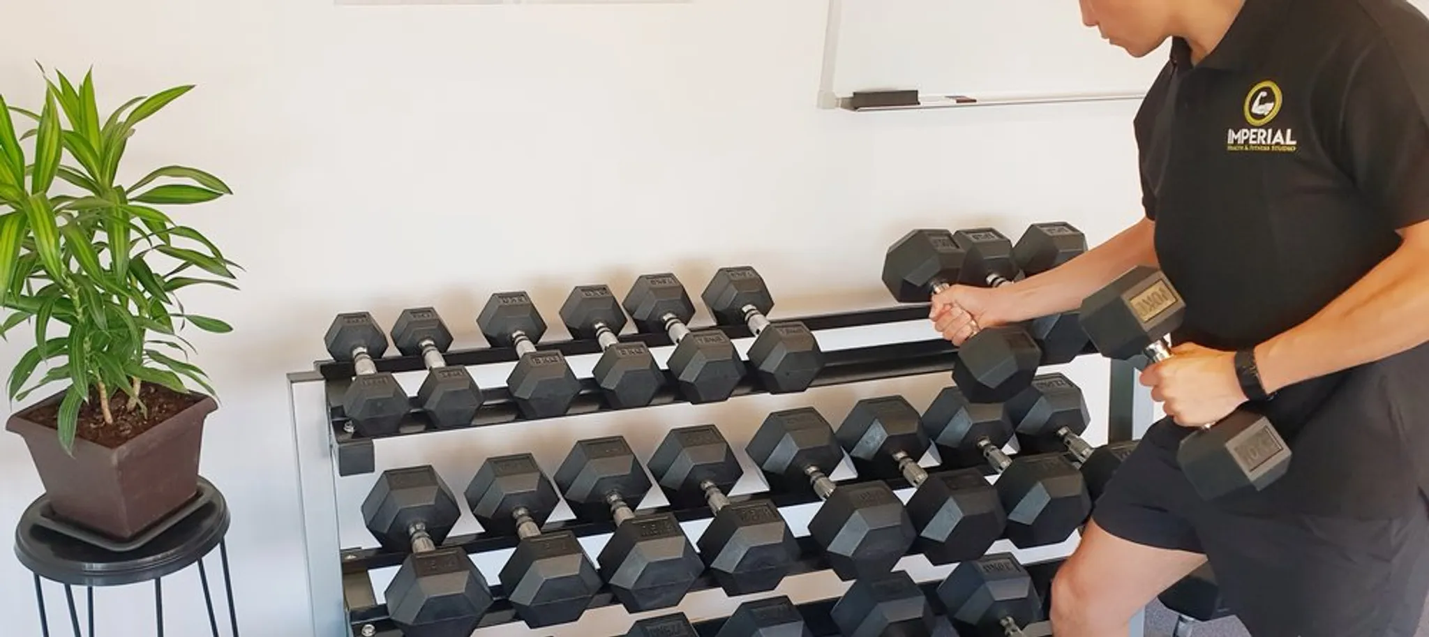 2024 New Year New You