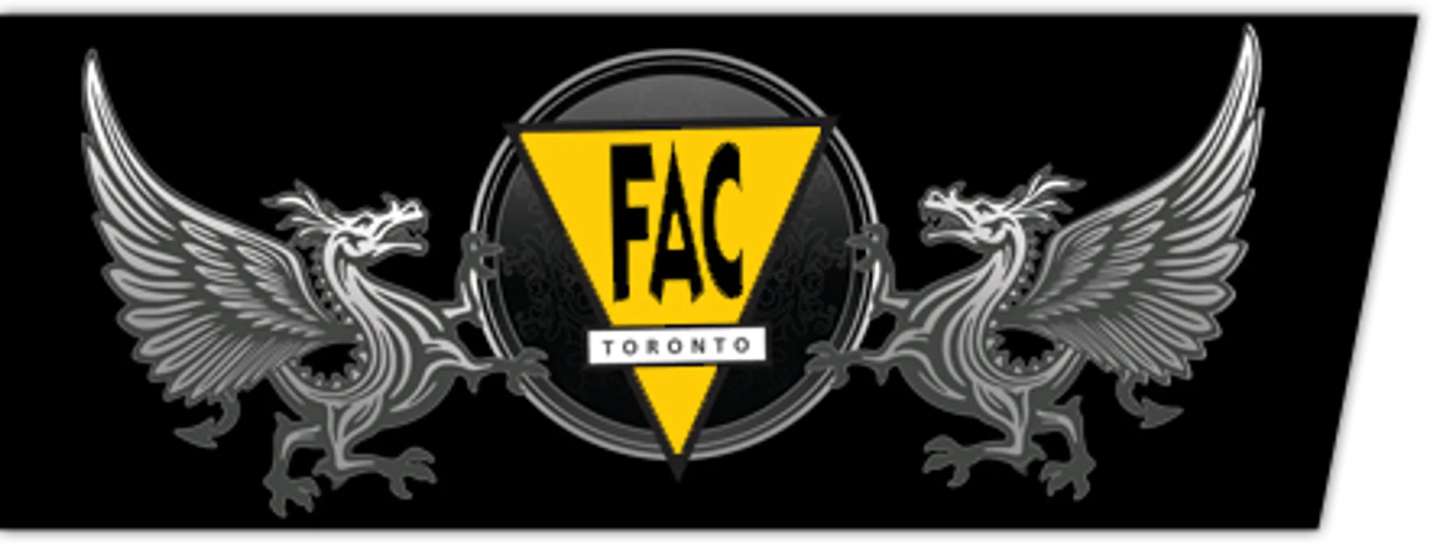 Fighting Arts Collective