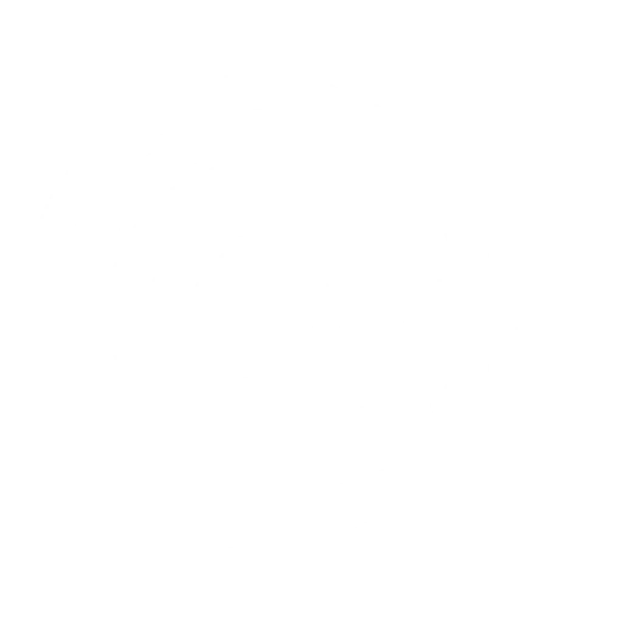 The Runners Hub