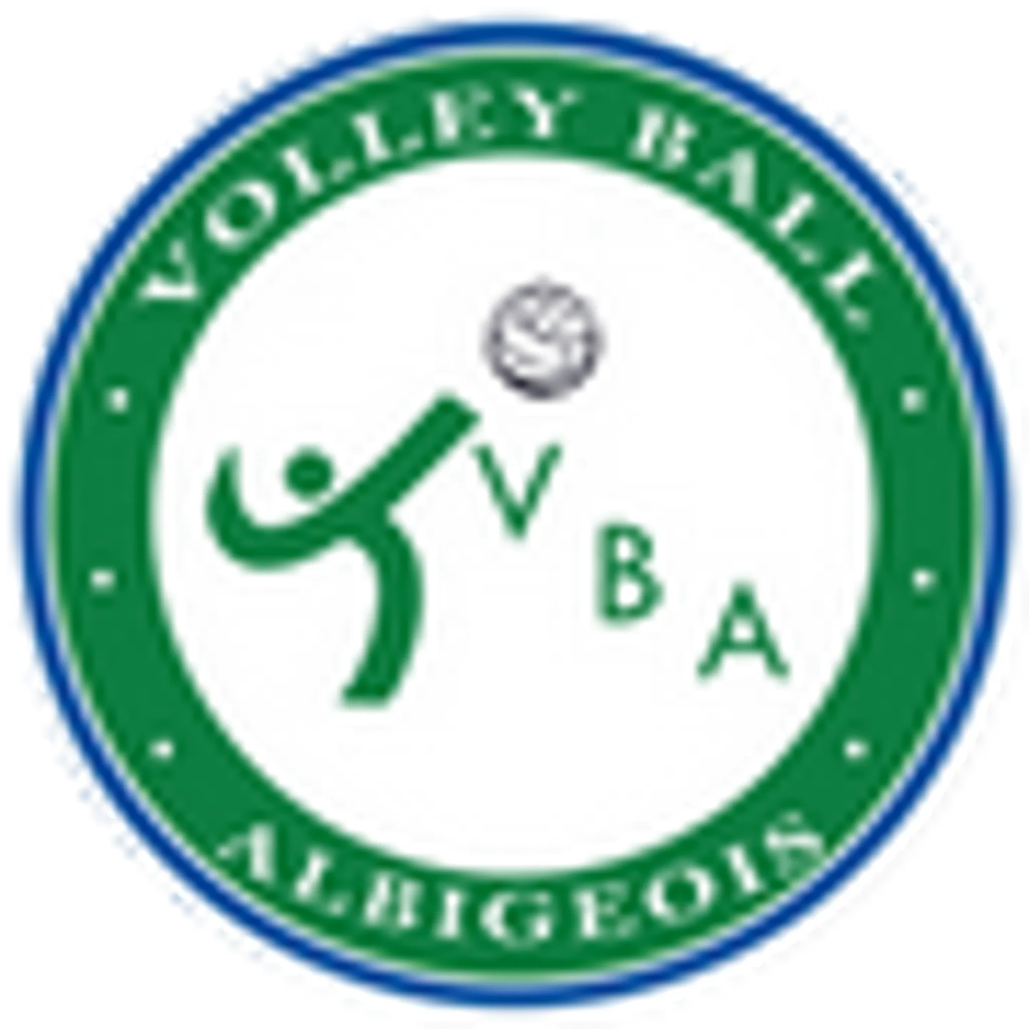 VOLLEY BALL ALBIGEOIS