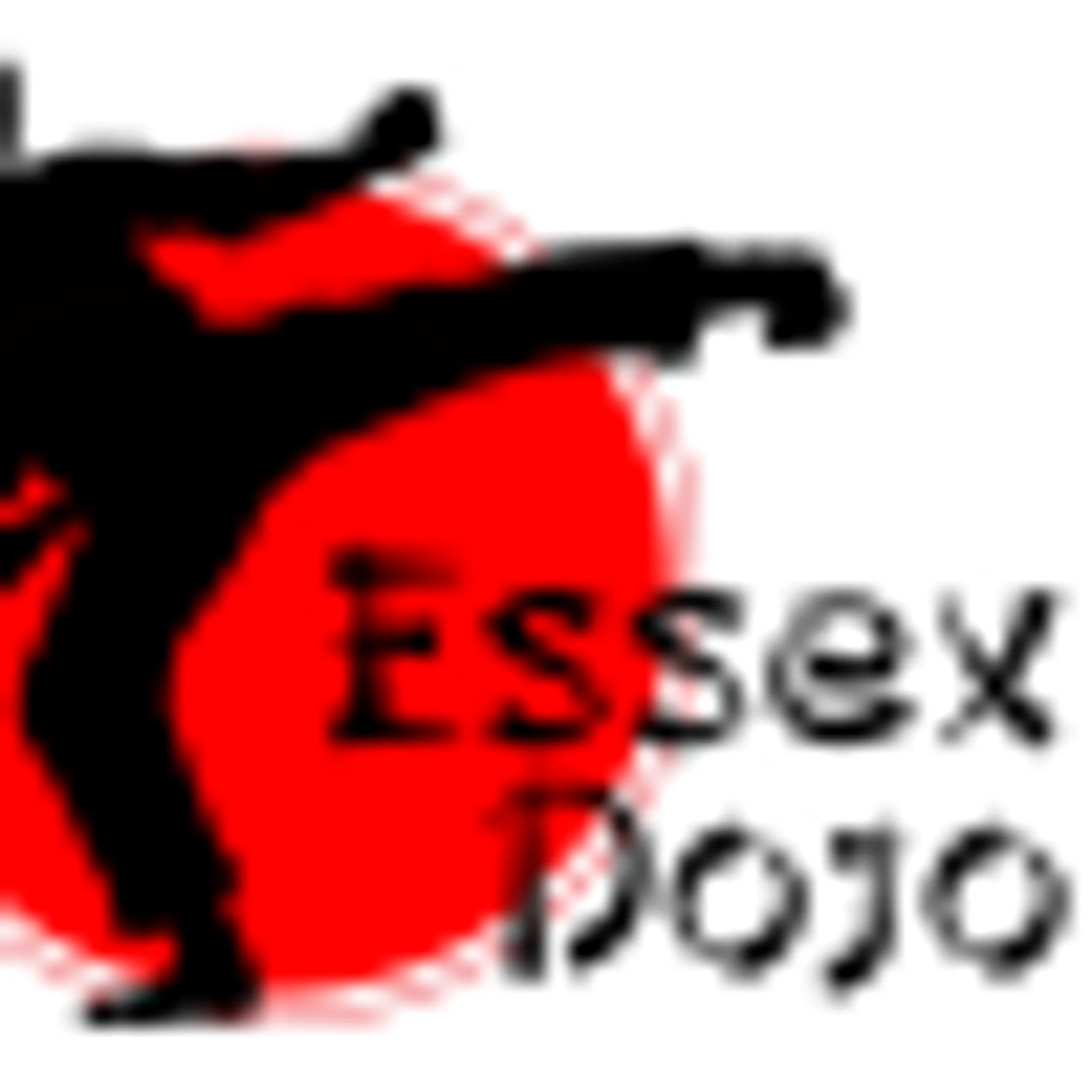Essex Dojo - Learn Ju Jitsu