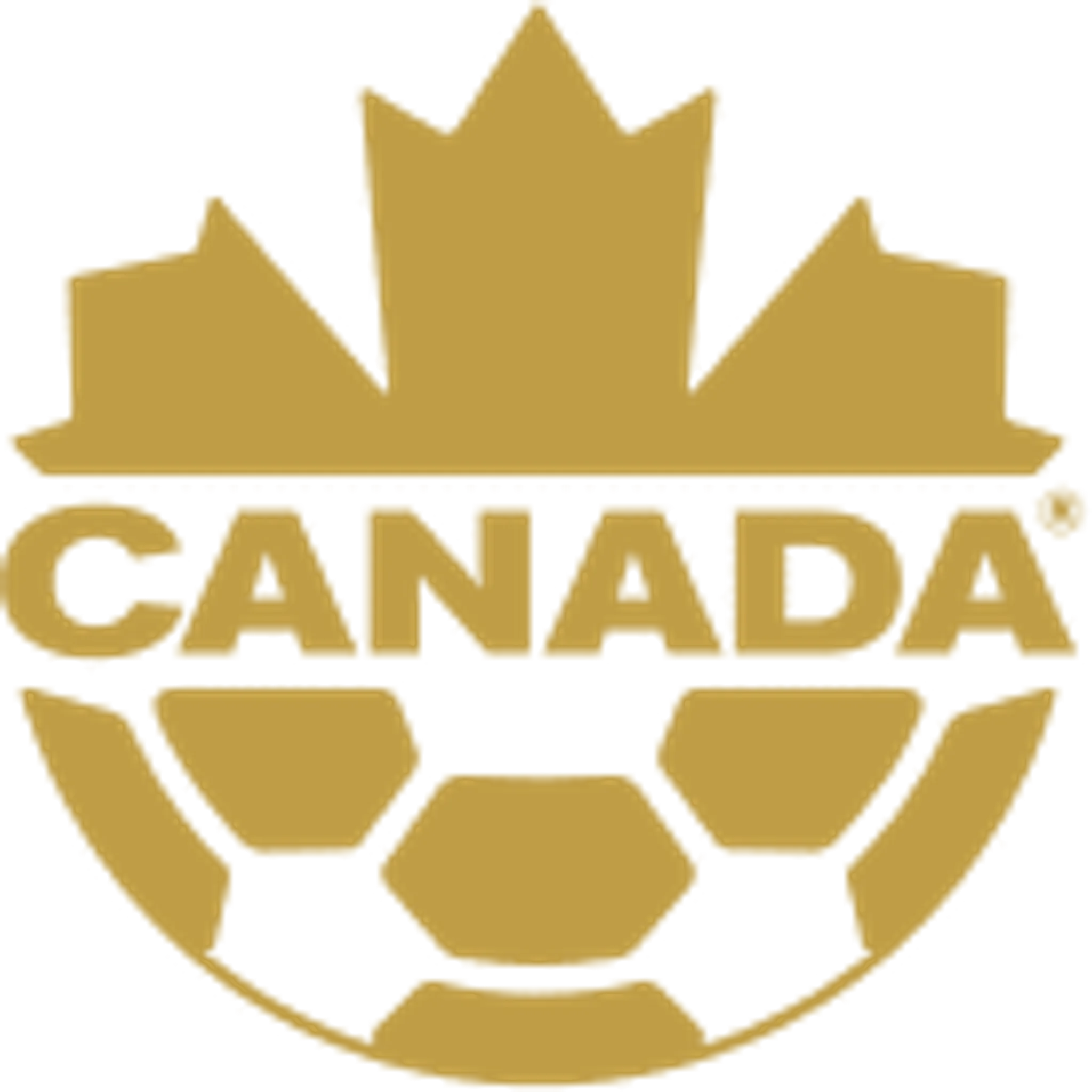 Oakville Soccer Club Inc