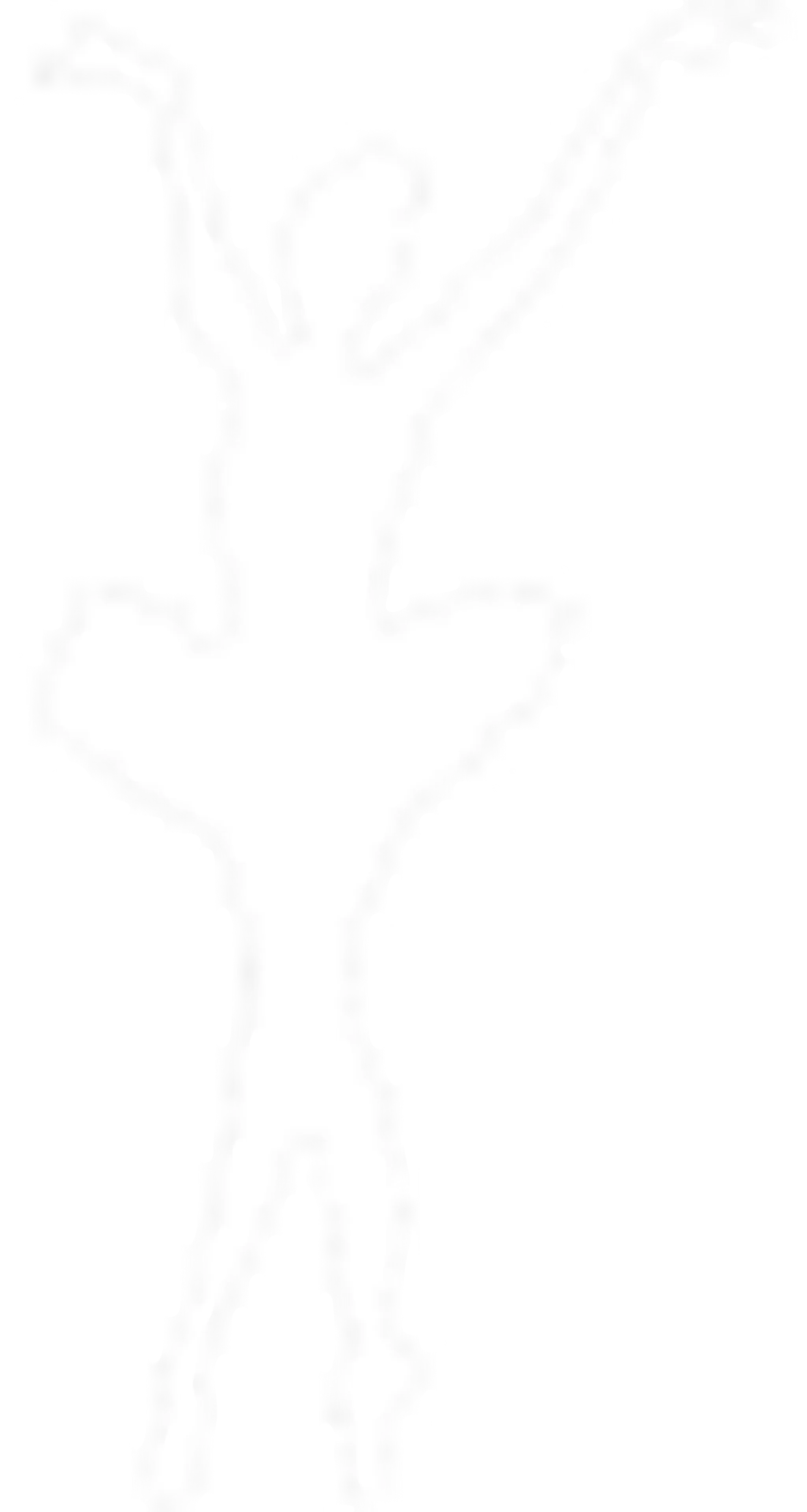 Keyford Dancing School