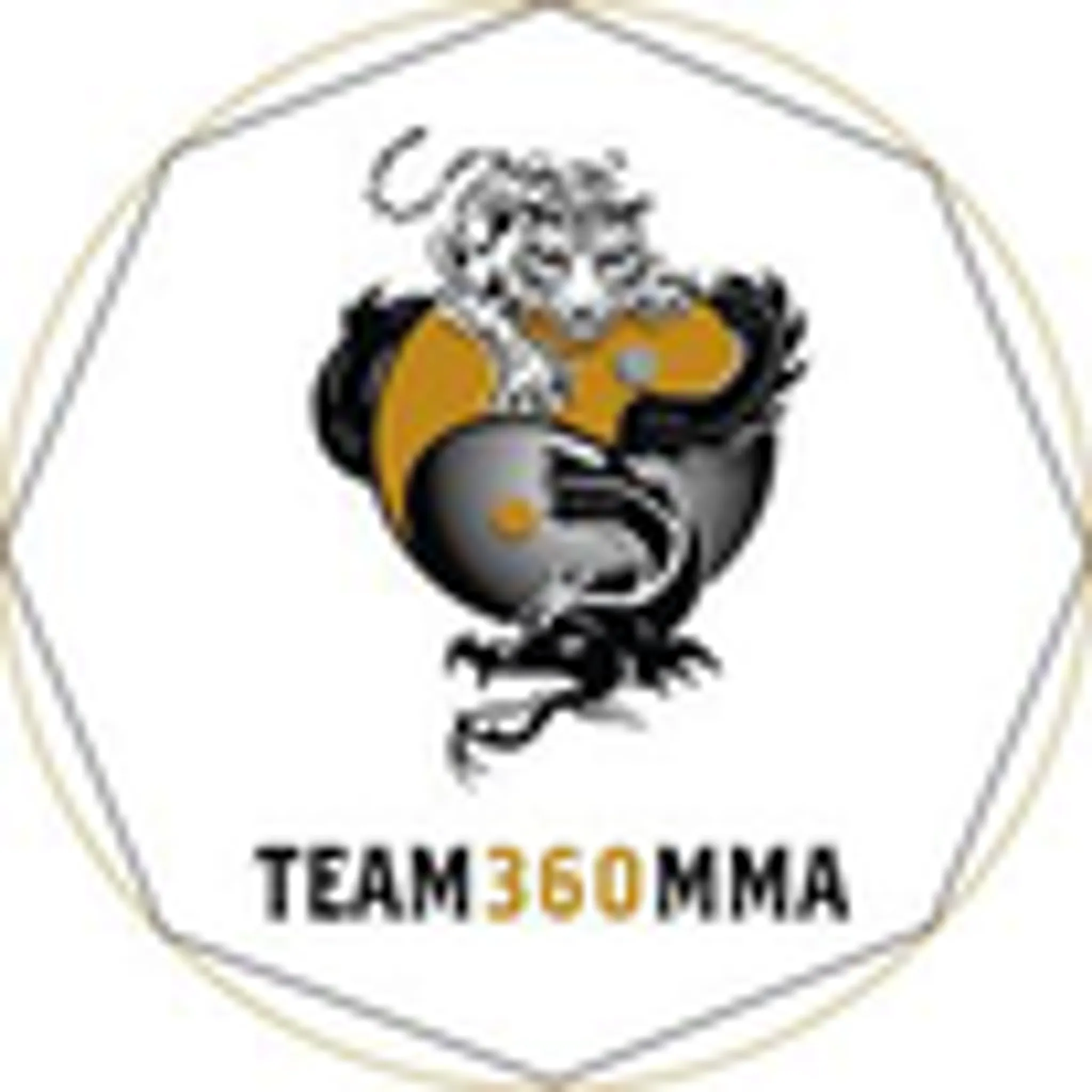 Academy Martial Arts Team360mma