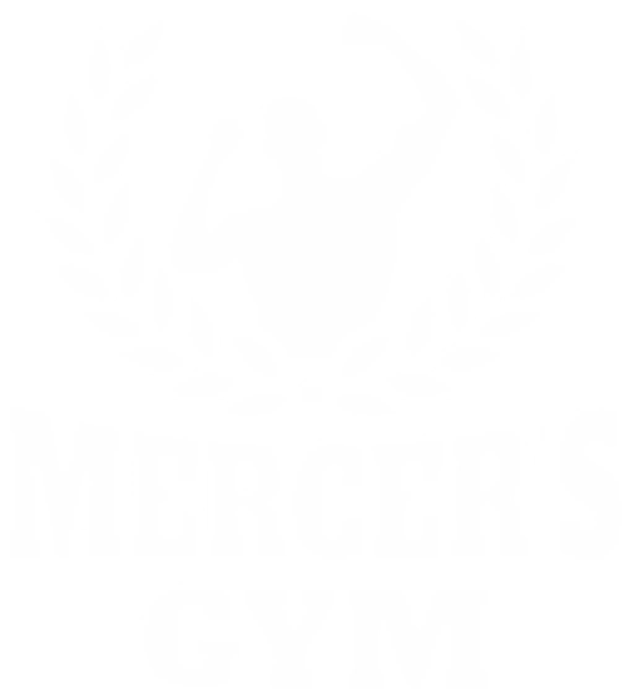 Mercer's Gym